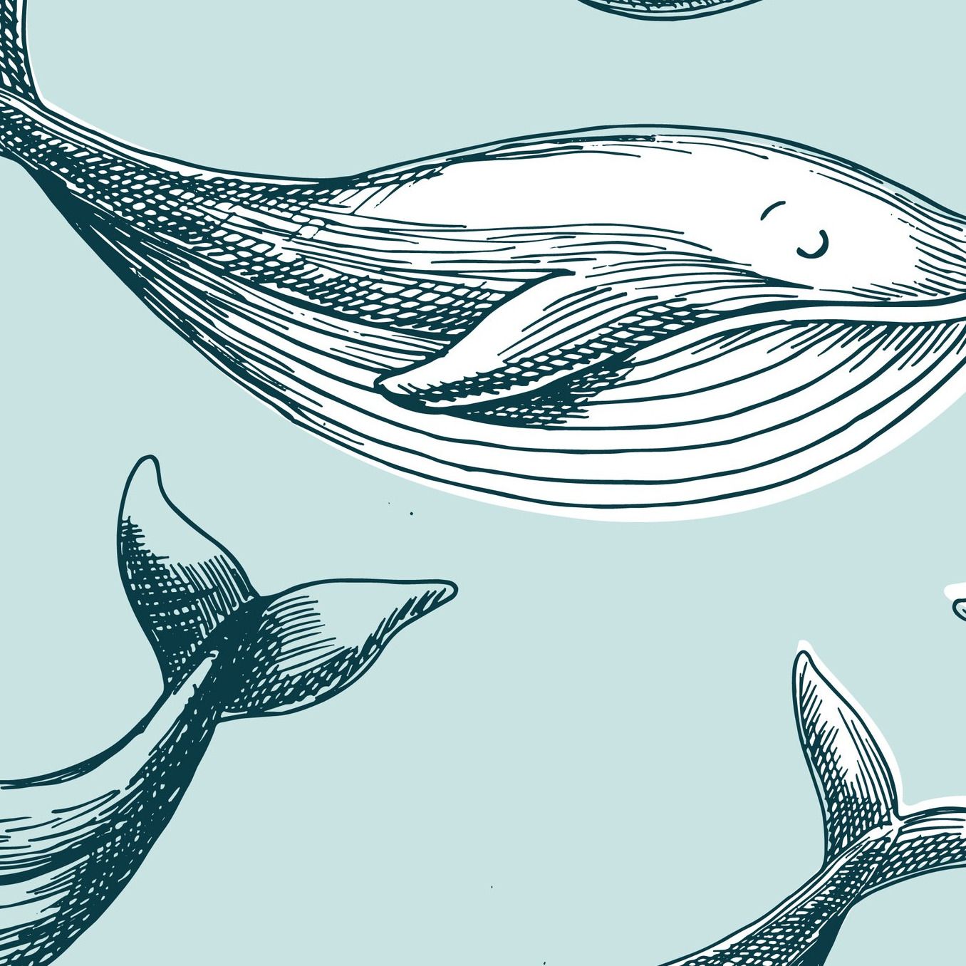 Whale of a Time Wallpaper 4 Wallpaper and Wall Murals South Africa Whale of a Time Wallpaper close-up showing texture and colour