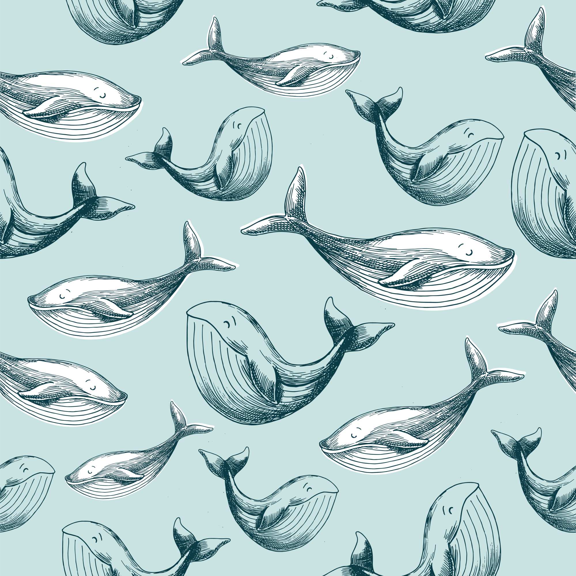 Whale of a Time Wallpaper 2 Wallpaper and Wall Murals South Africa Whale of a Time Wallpaper, whales in teal and pale blue wallpaper - WallpaperOnline