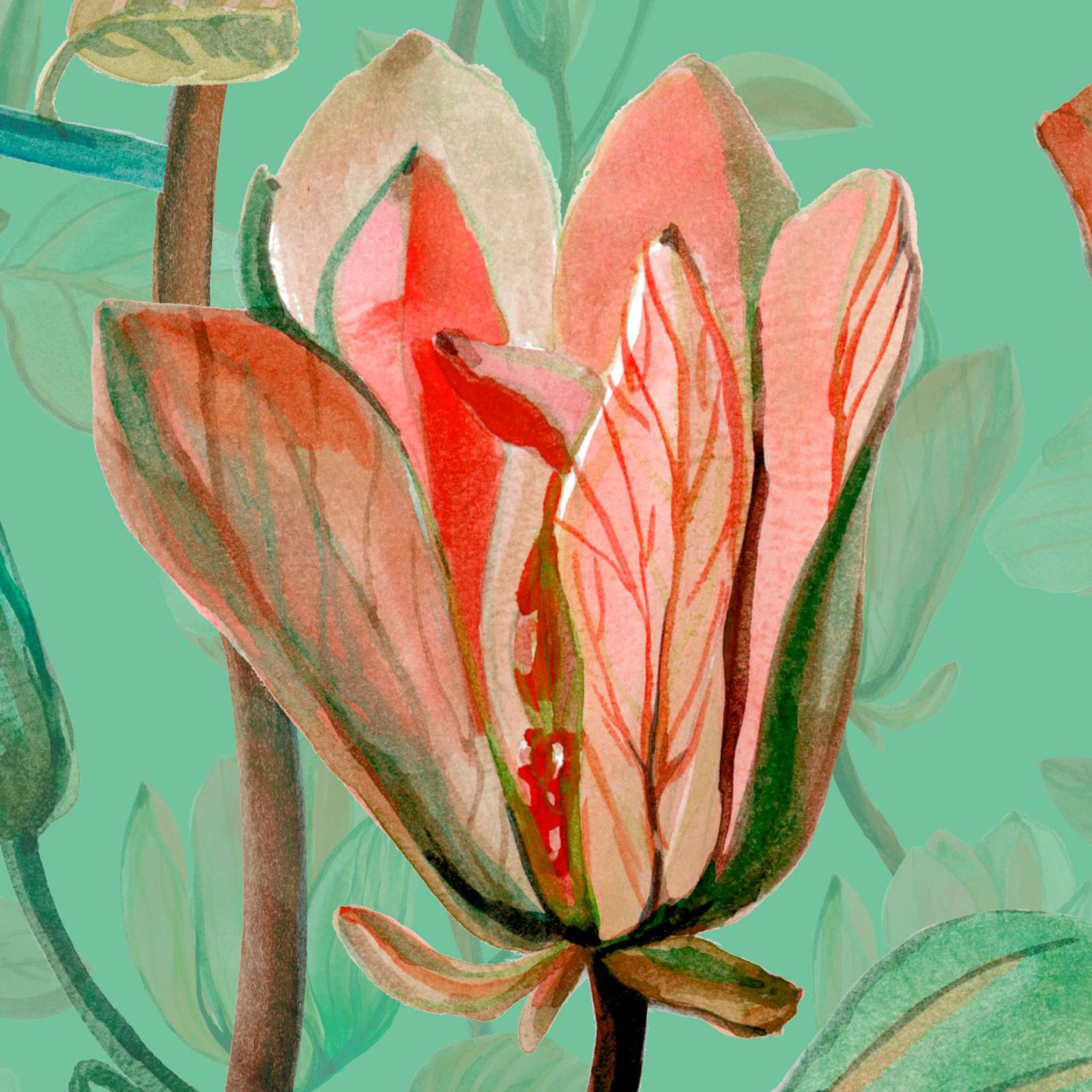 Magnolia Dawn Wallpaper 4 Wallpaper and Wall Murals South Africa Magnolia Dawn Wallpaper close-up showing texture and colour