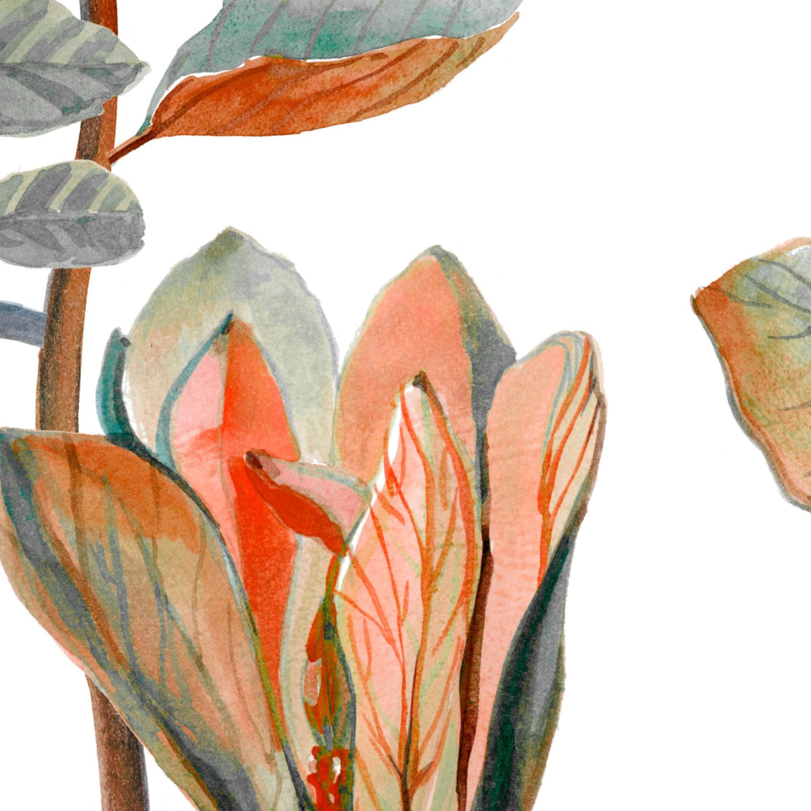 Magnolia Dusk Wallpaper 4 Wallpaper and Wall Murals South Africa Magnolia Dusk Wallpaper close-up showing texture and colour