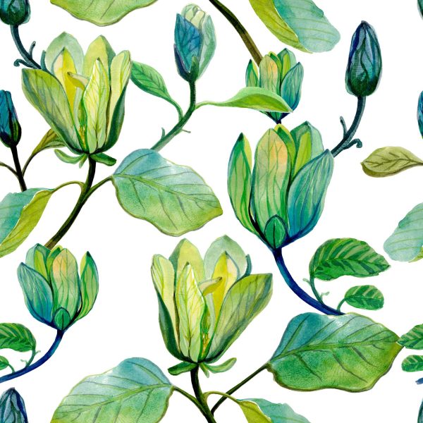 Magnolia Spring Wallpaper