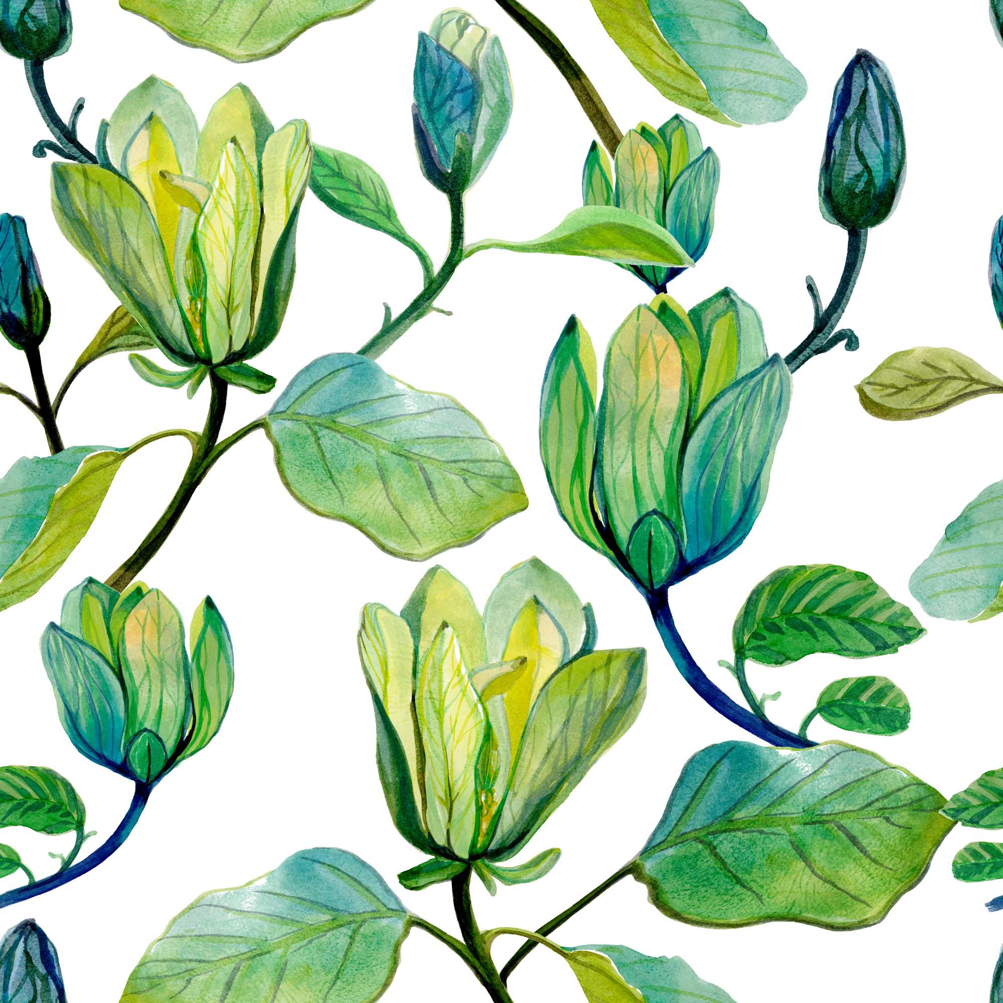 Magnolia Spring Wallpaper 2 Wallpaper and Wall Murals South Africa Magnolia Spring, magnolia blooms and buds in green wallpaper - WallpaperOnline