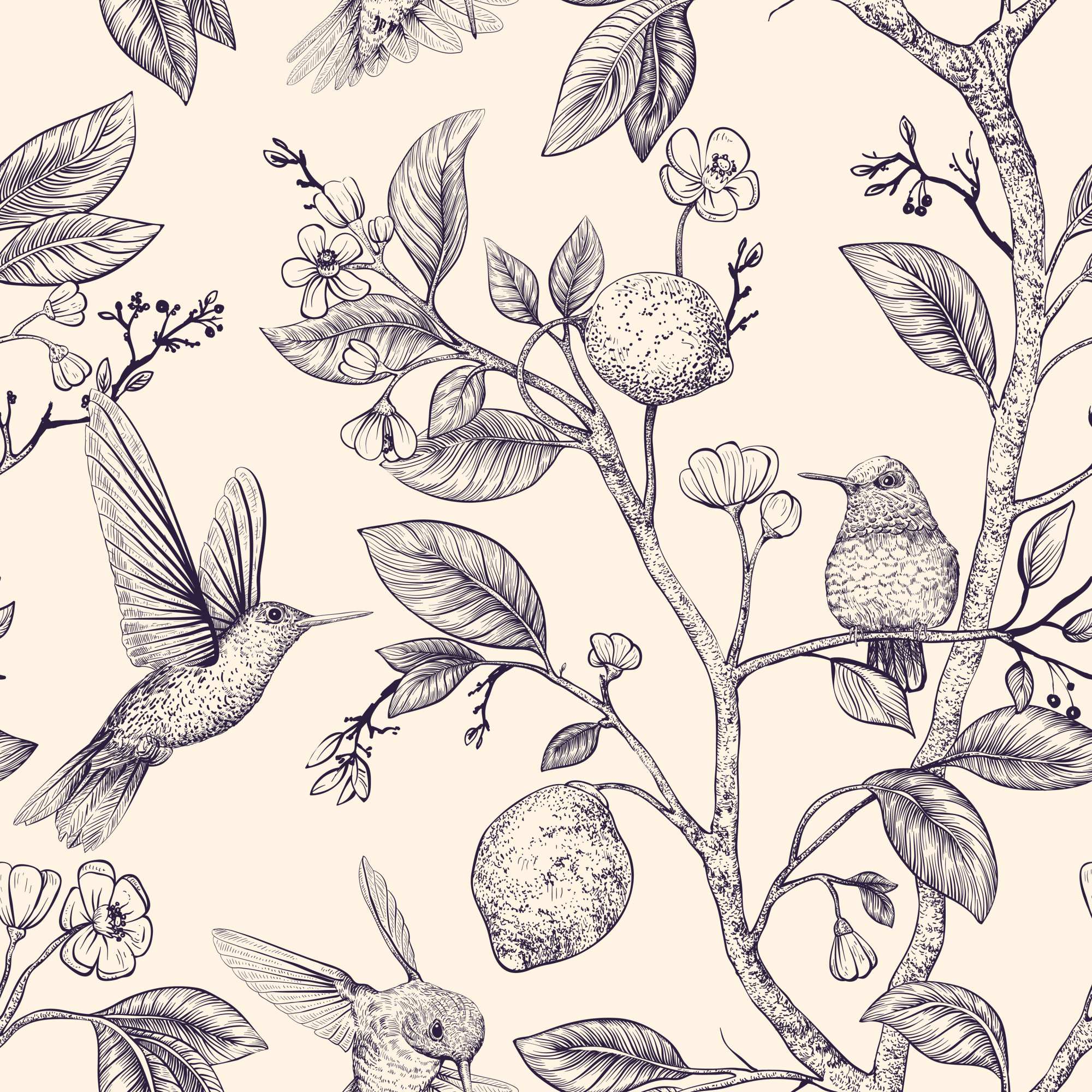 Sugar Lemon Wallpaper 2 Wallpaper and Wall Murals South Africa Sugar Lemon Wallpaper, hummingbirds and citrus branches in cream and navy wallpaper - WallpaperOnline