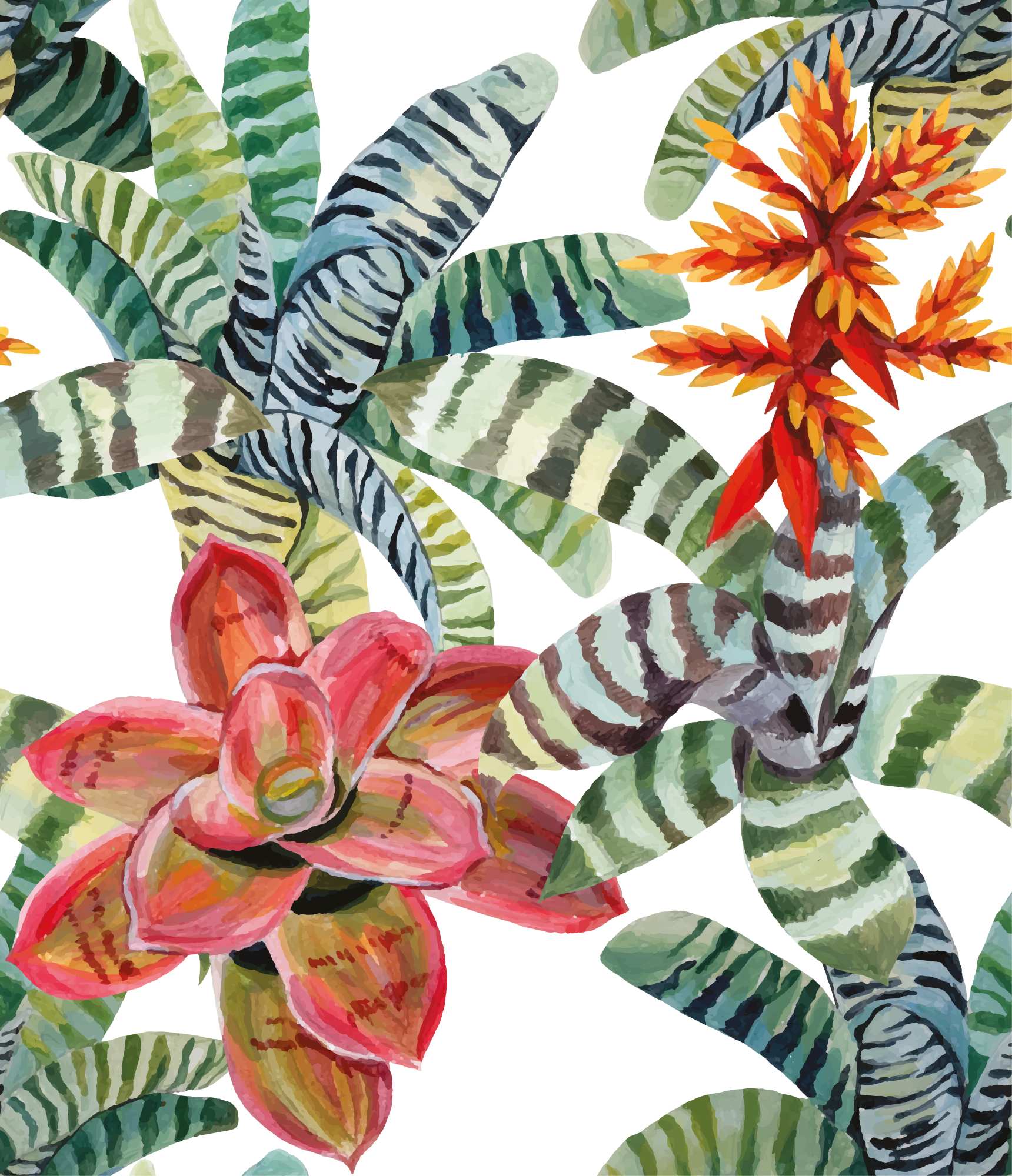 Bandera Wallpaper 2 Wallpaper and Wall Murals South Africa Bandera Wallpaper, tropical bromeliad leaves and flowers in green, white, coral wallpaper - WallpaperOnline