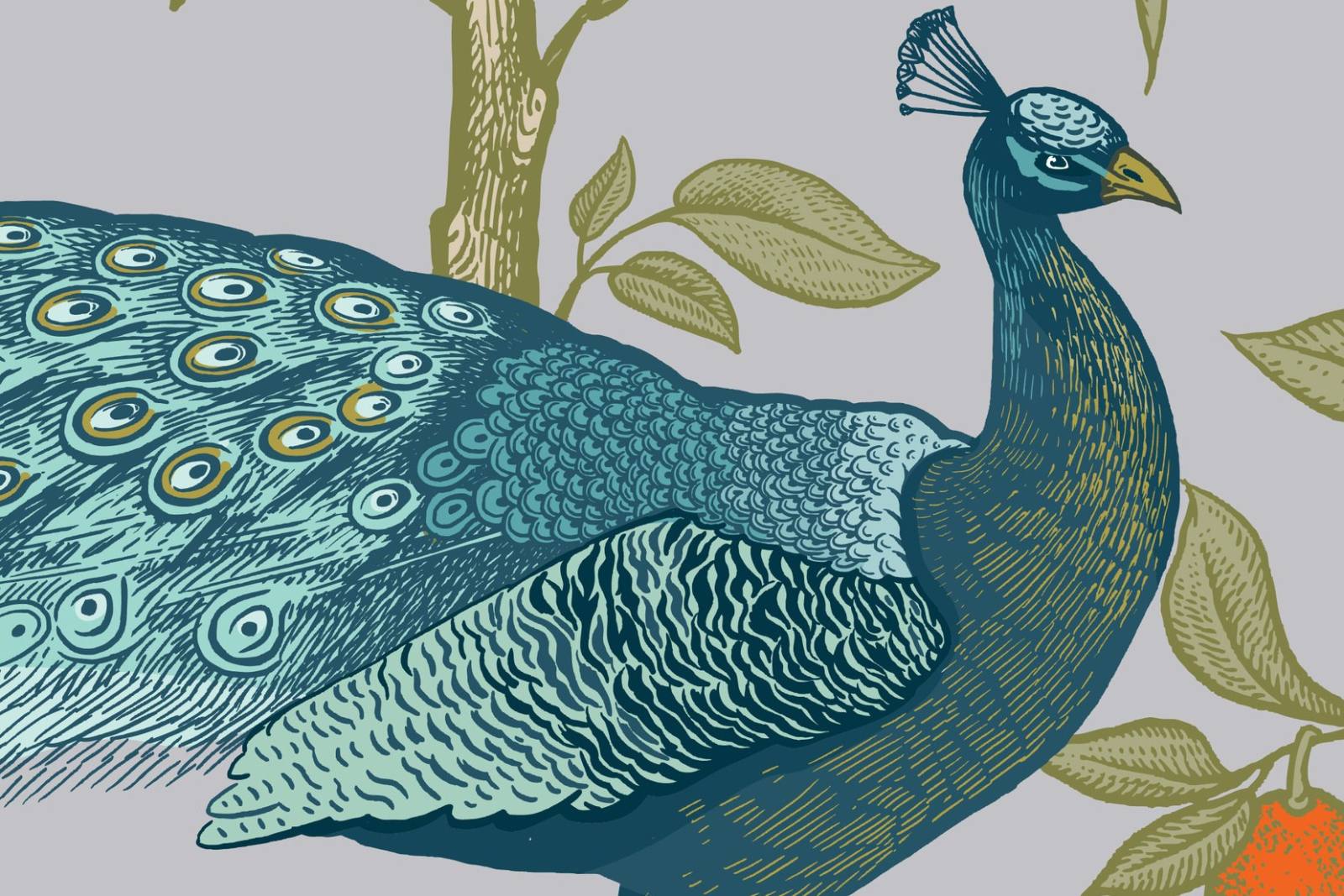 Peafowl East Wallpaper 4 Wallpaper and Wall Murals South Africa Peafowl East Wallpaper close-up showing texture and colour
