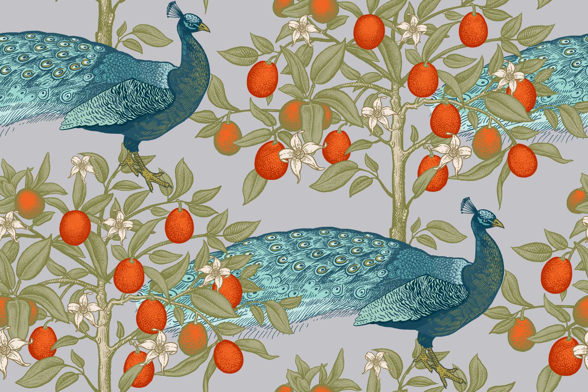 Peafowl East Wallpaper 2 Wallpaper and Wall Murals South Africa Peafowl East, peacocks and orange trees in teal and orange wallpaper - WallpaperOnline