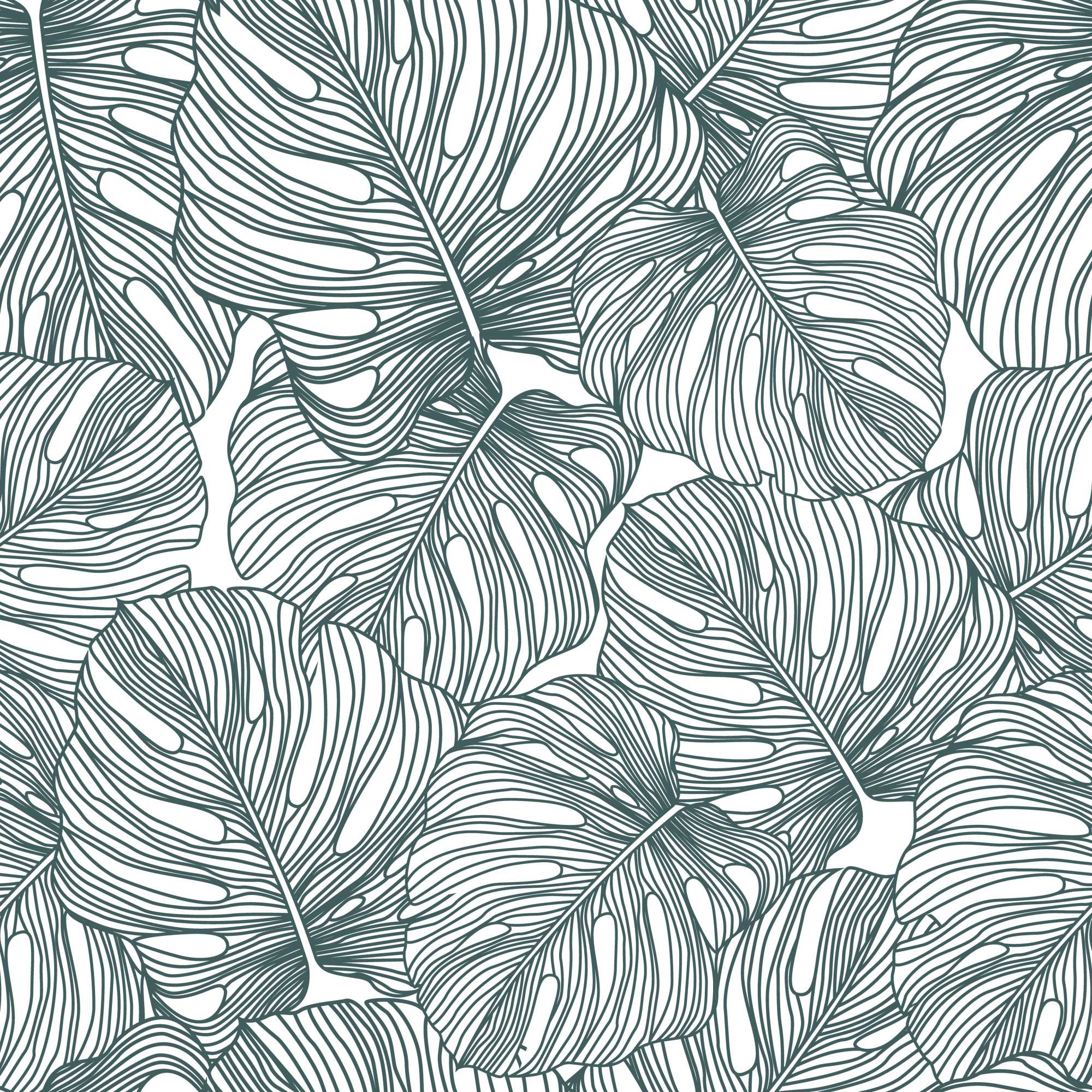 Line Drawn Deliciosa Wallpaper 1 Wallpaper and Wall Murals South Africa Line Drawn Deliciosa, monstera leaves in white and teal wallpaper - WallpaperOnline