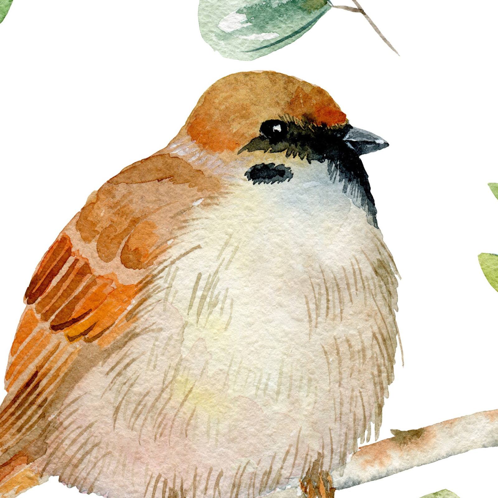 Robin & Leaf Wallpaper 4 Wallpaper and Wall Murals South Africa Robin & Leaf Wallpaper close-up showing texture and colour