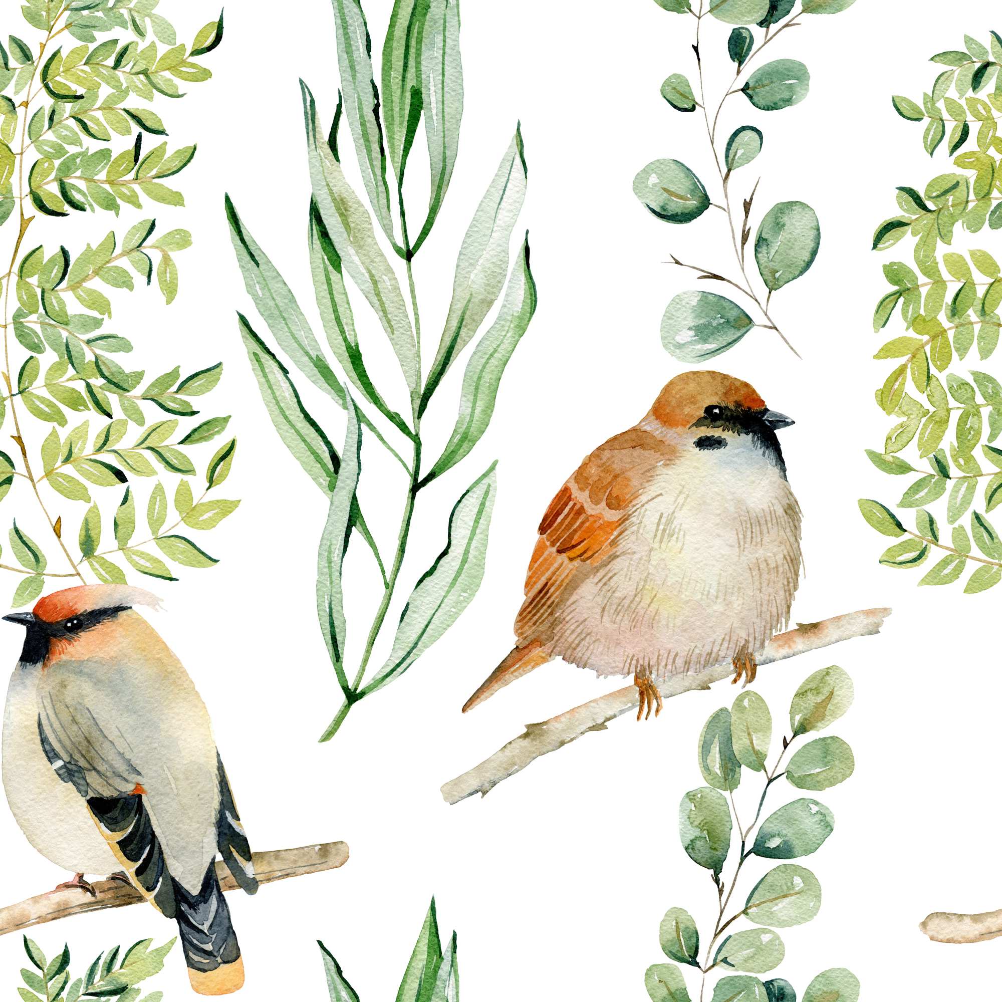 Robin & Leaf Wallpaper 2 Wallpaper and Wall Murals South Africa Robin & Leaf Wallpaper, watercolour robins and foliage in white, green and orange wallpaper - WallpaperOnline