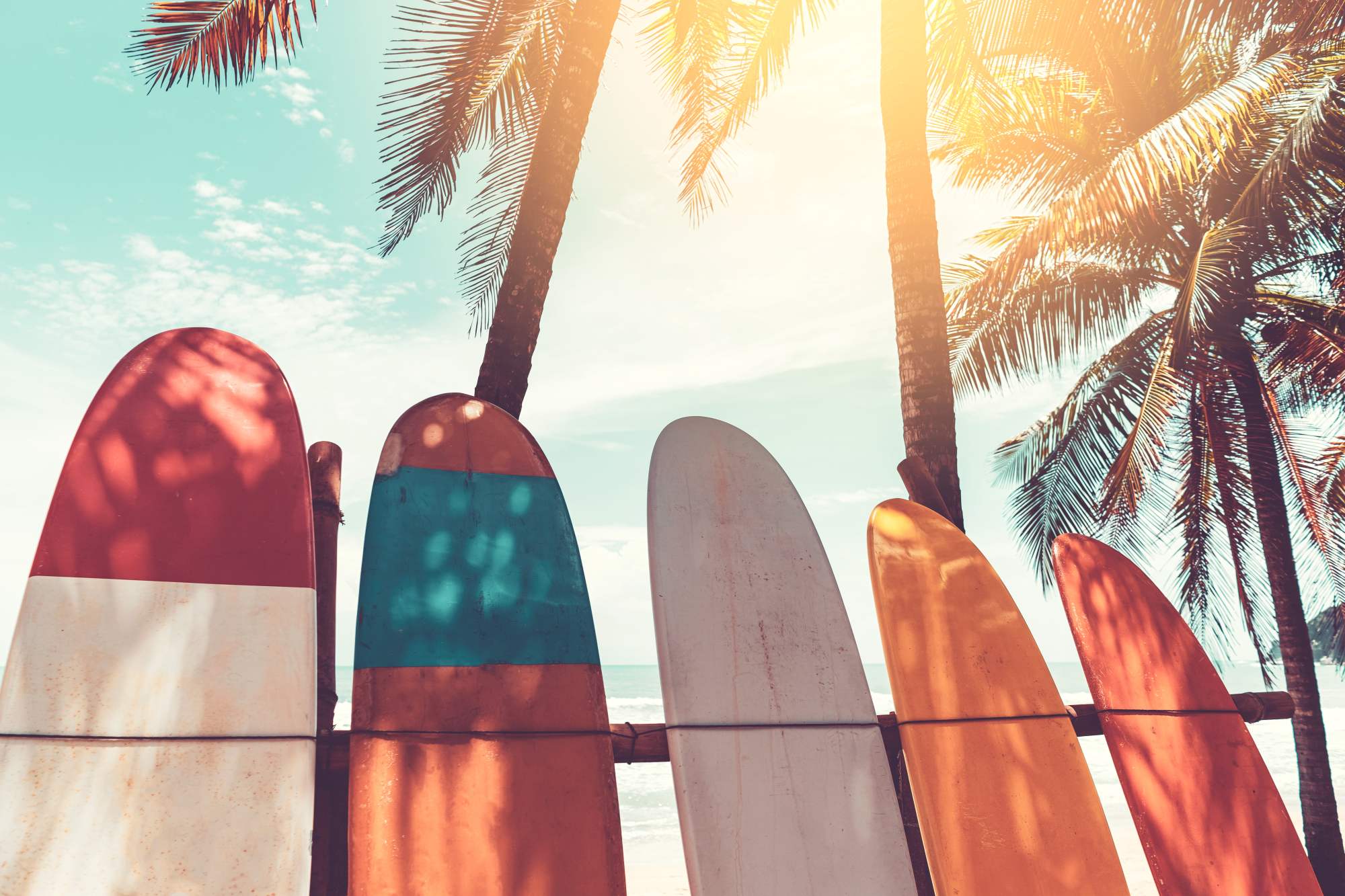 Mural Pick your Surf 2 Wallpaper and Wall Murals South Africa Mural Pick your Surf, surfboards and palm trees in teal, orange and white mural - WallpaperOnline