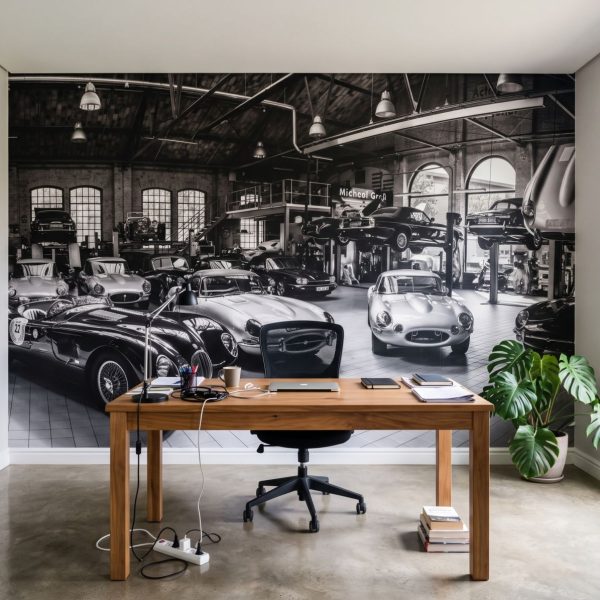 Mural Classic Car Collector