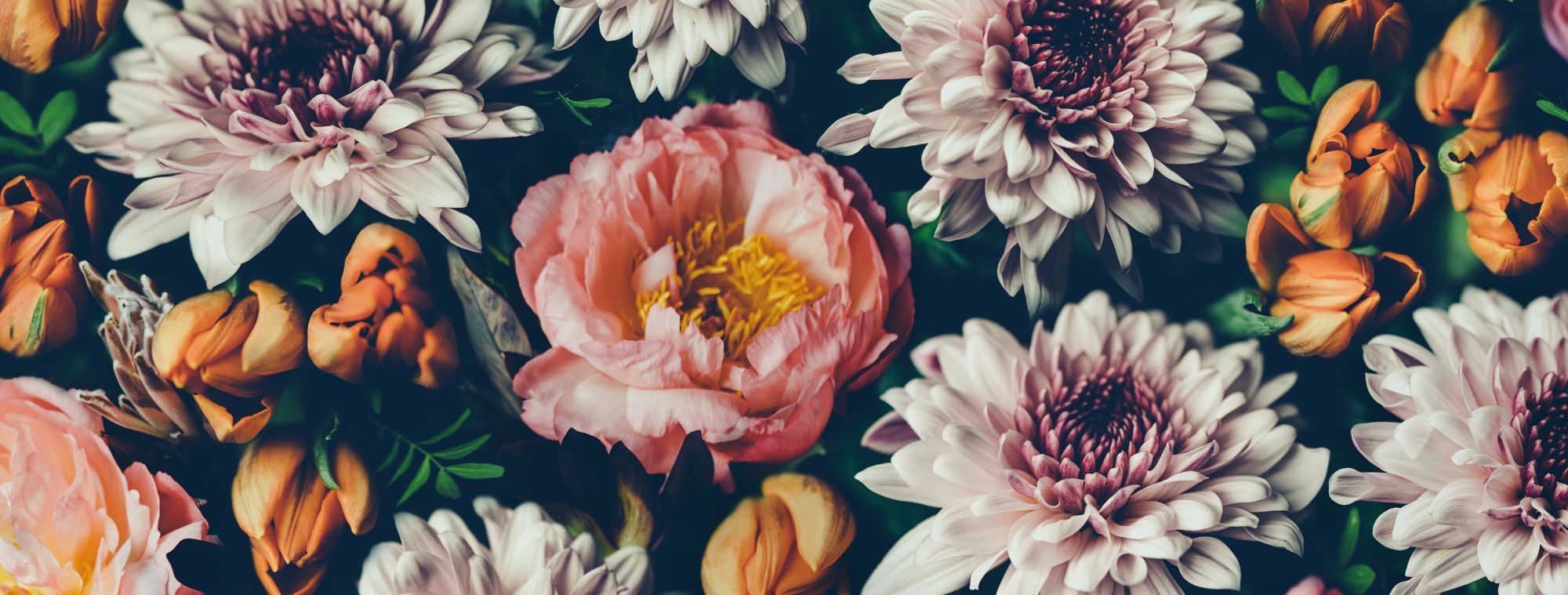 Mural Reece 2 Wallpaper and Wall Murals South Africa Mural Reece, dense floral bouquet in pink, orange and black mural - WallpaperOnline