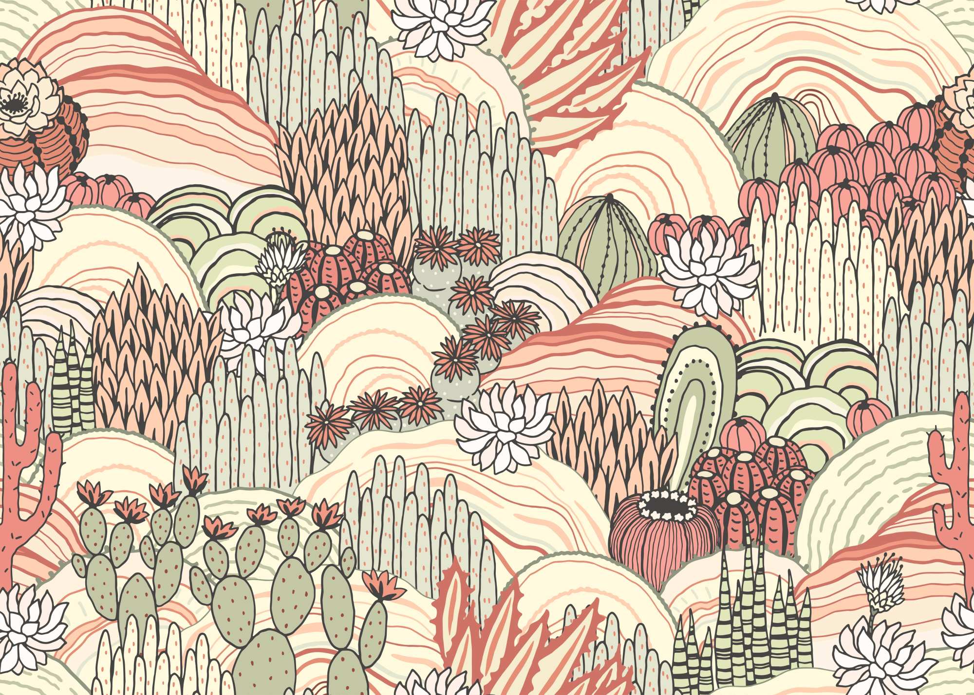 Karoo Hand drawn Wallpaper 2 Wallpaper and Wall Murals South Africa Karoo Hand drawn Wallpaper, desert cacti and succulents in coral and sage wallpaper - WallpaperOnline