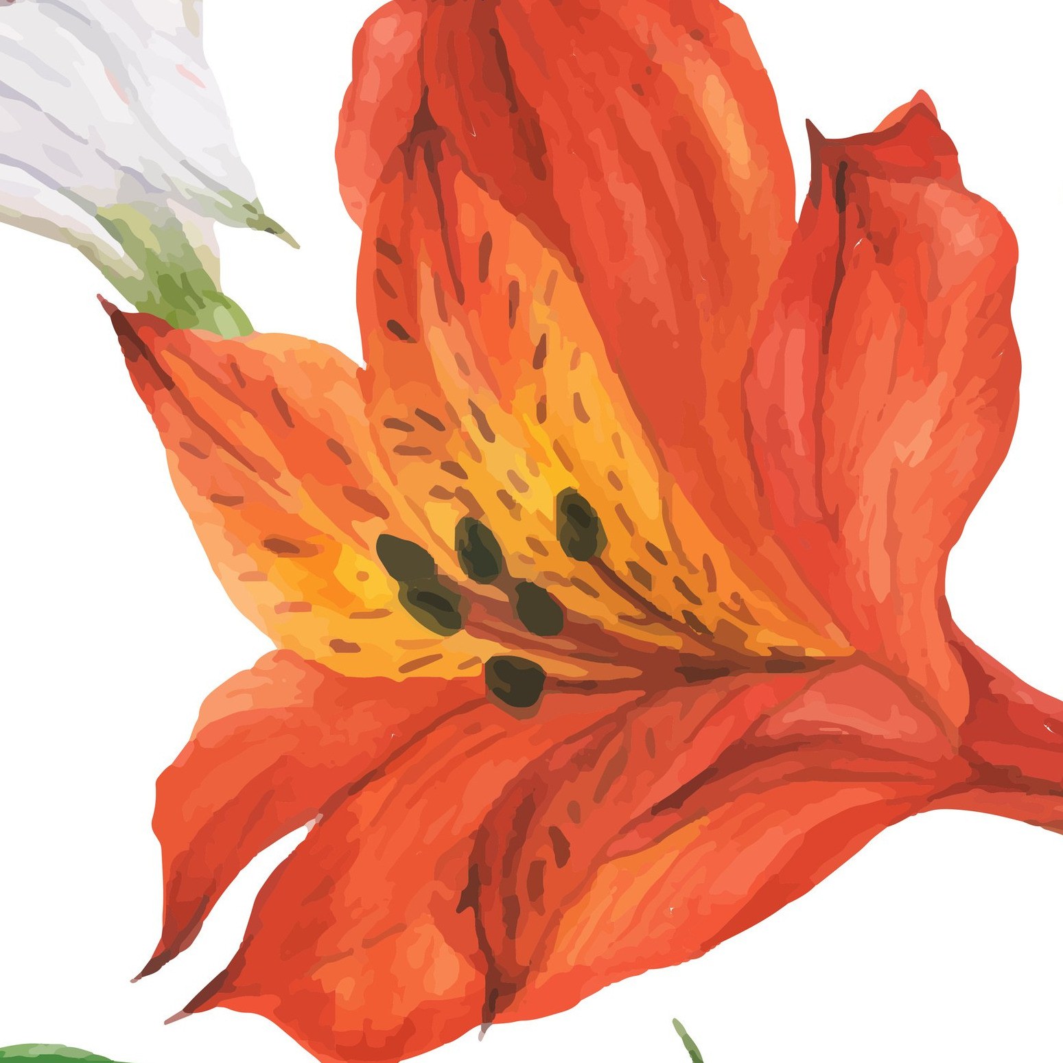 White & Orange Lillies Wallpaper 4 Wallpaper and Wall Murals South Africa White & Orange Lillies Wallpaper close-up showing texture and colour
