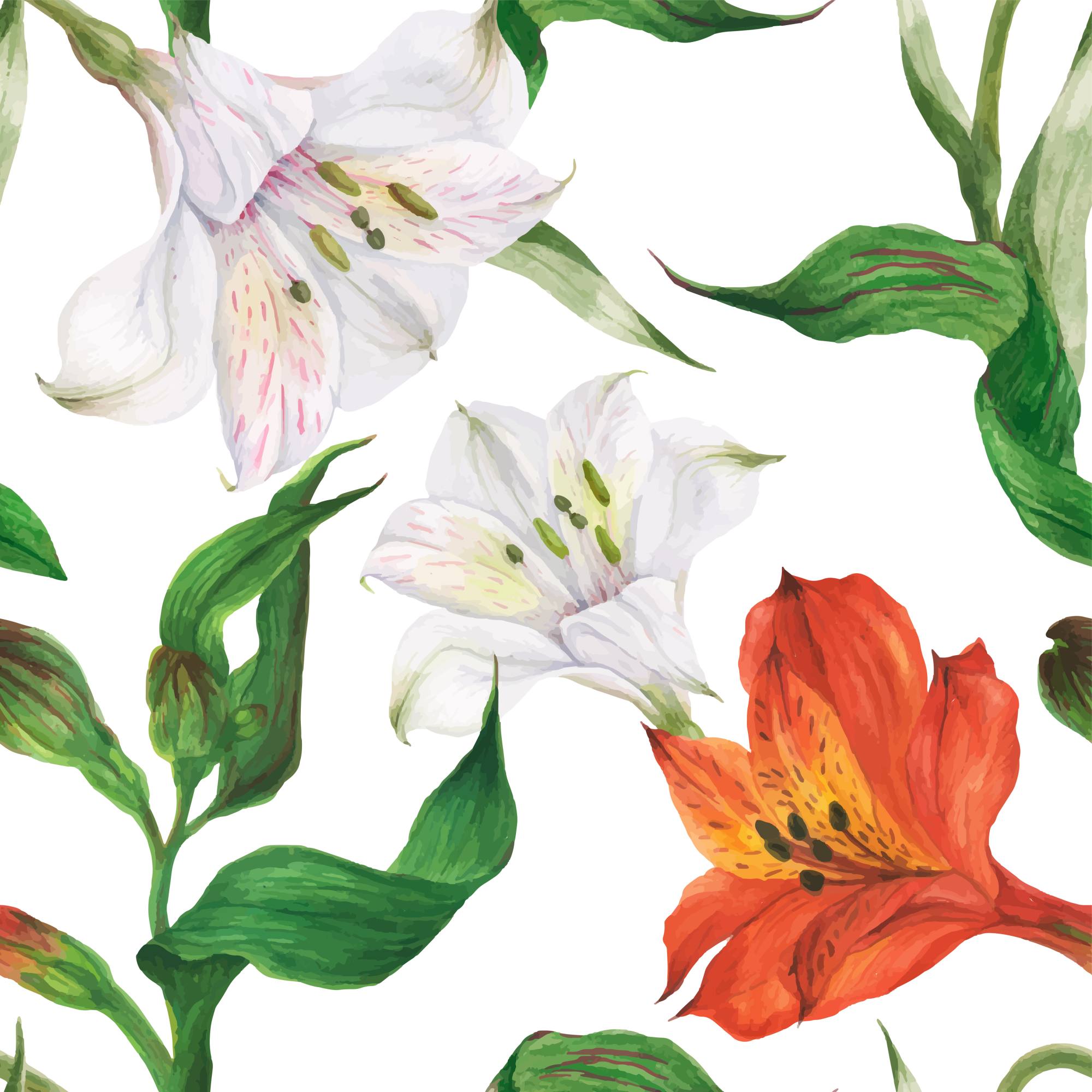 White & Orange Lillies Wallpaper 2 Wallpaper and Wall Murals South Africa White & Orange Lillies Wallpaper, lily flowers in white, orange and green wallpaper - WallpaperOnline