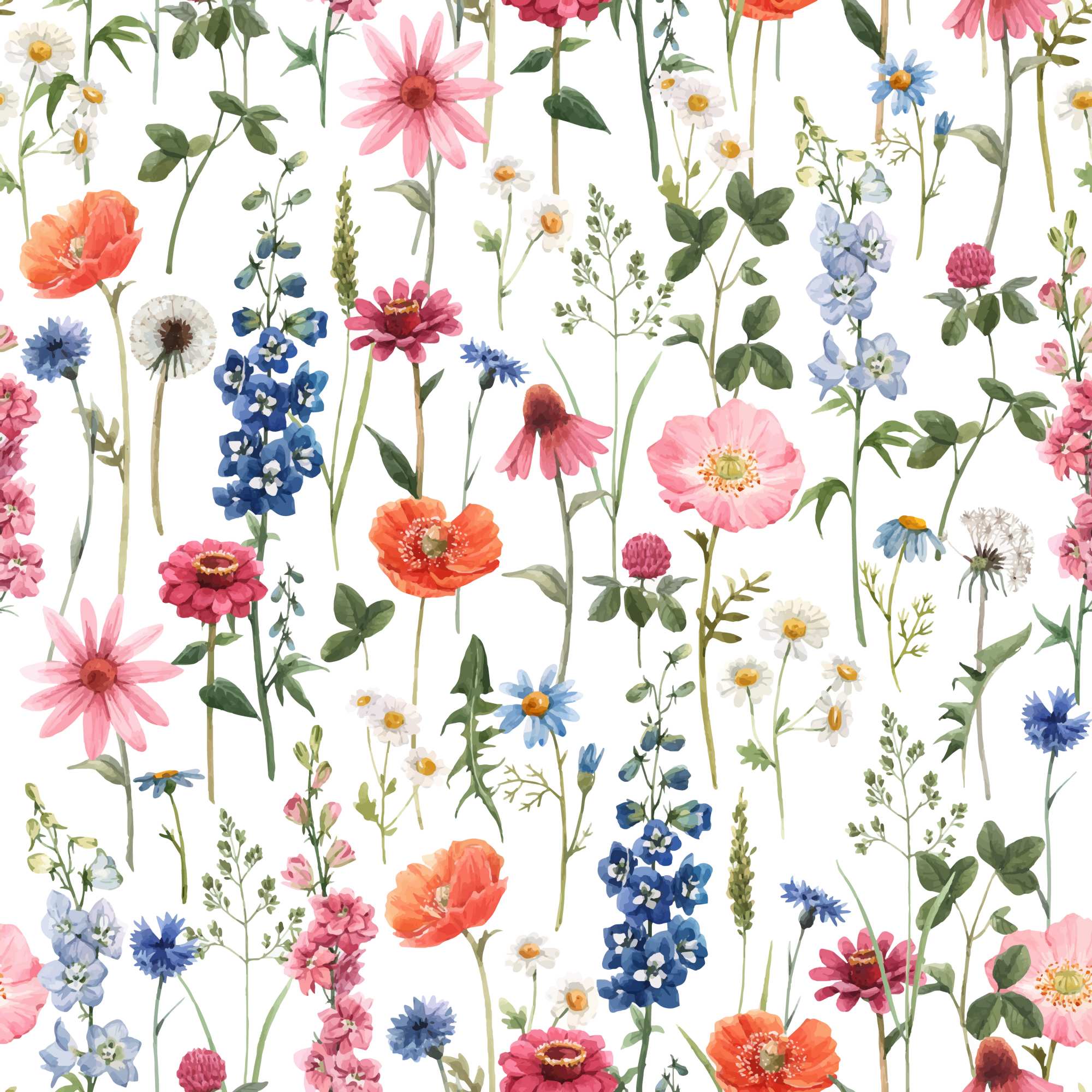 Flora on White Wallpaper 2 Wallpaper and Wall Murals South Africa Flora on White Wallpaper, wildflowers in pink, orange and blue wallpaper - WallpaperOnline