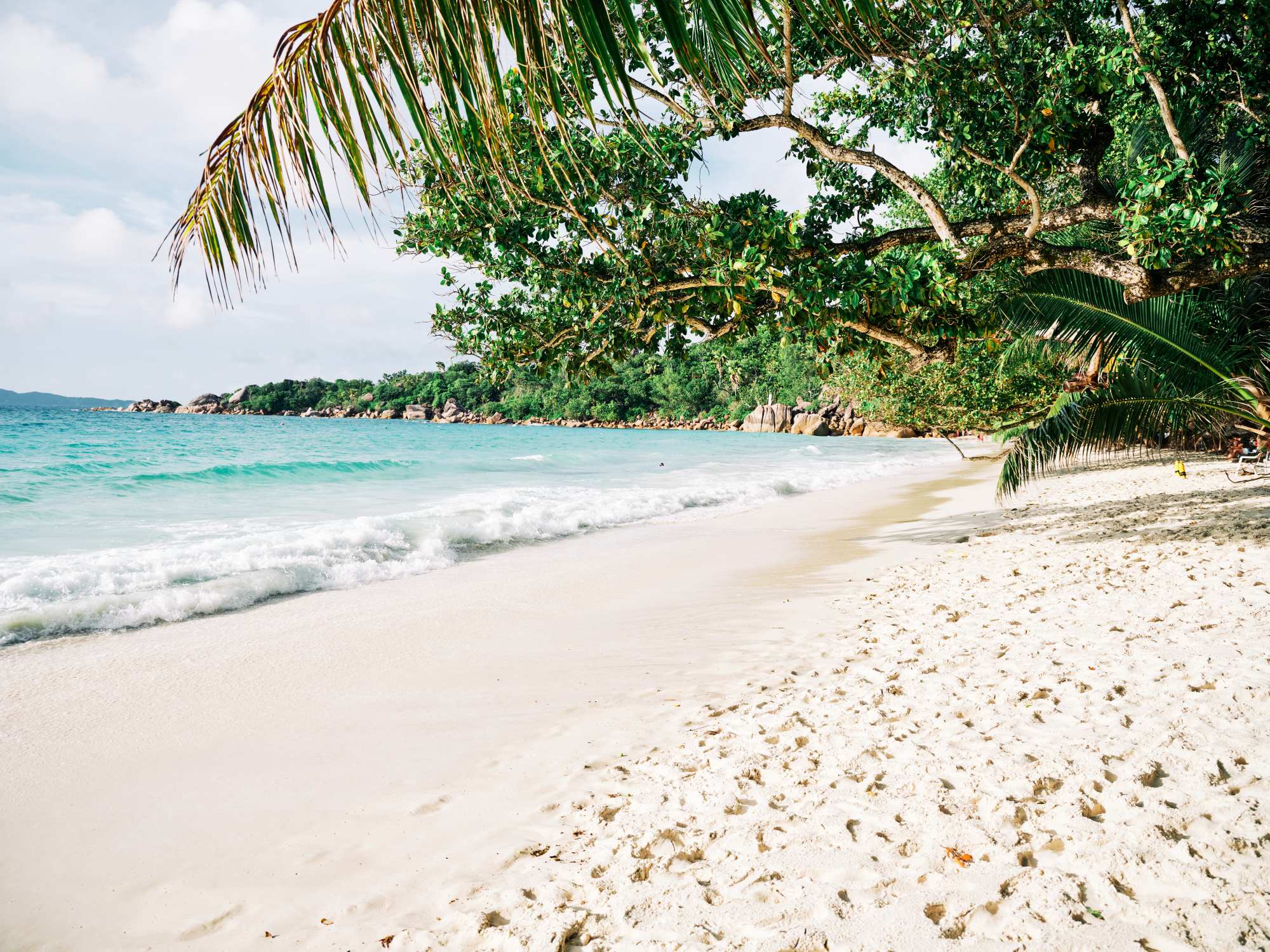 Mural The Island Beach 2 Wallpaper and Wall Murals South Africa The Island Beach, tropical beach in turquoise, white and green mural - WallpaperOnline