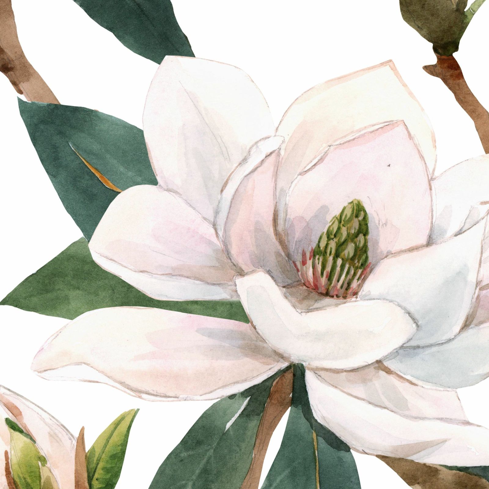 Magnolia Summer Wallpaper 4 Wallpaper and Wall Murals South Africa Magnolia Summer Wallpaper close-up showing texture and colour