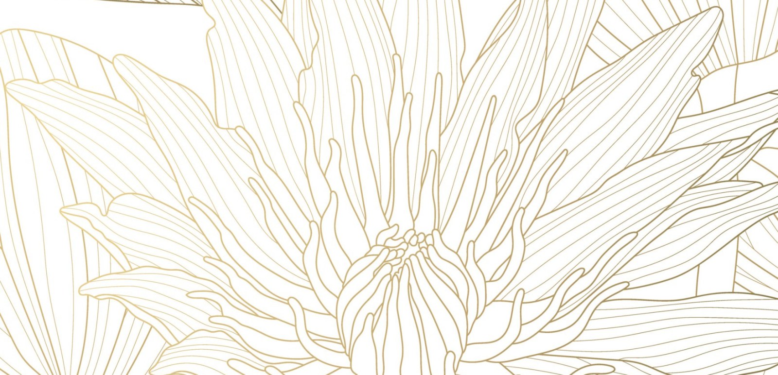 Mural Luxury Lotus Lines 4 Wallpaper and Wall Murals South Africa Mural Luxury Lotus Lines close-up showing texture and colour