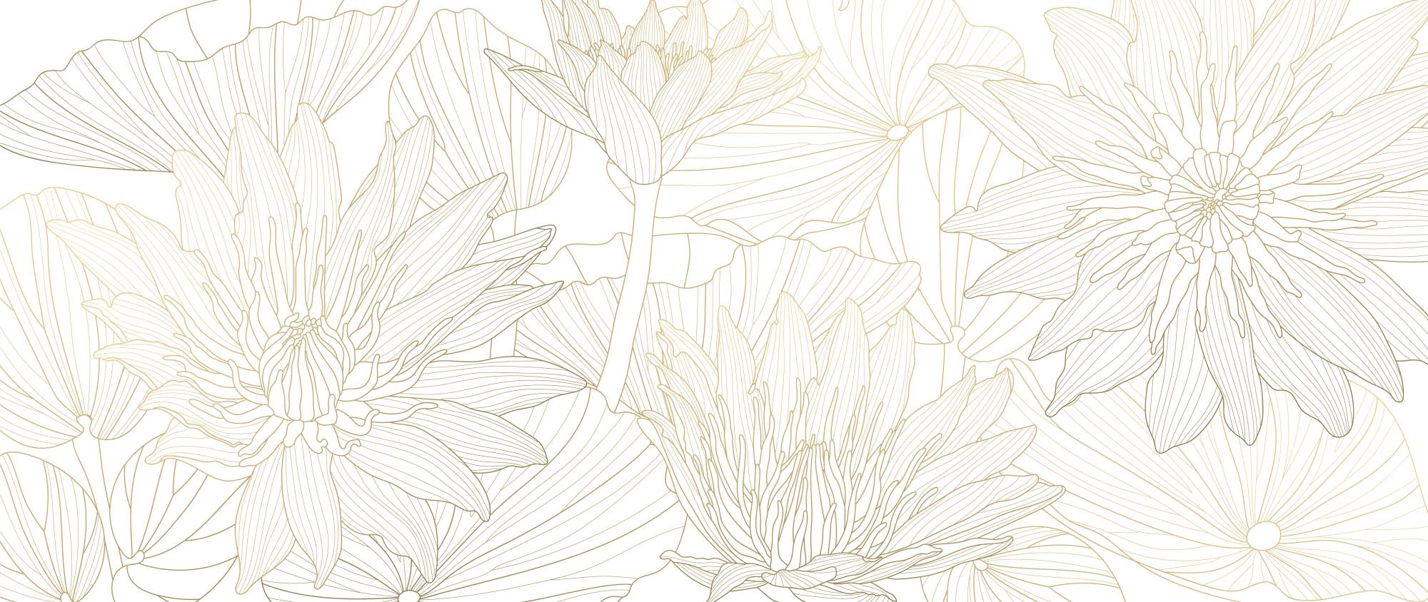 Mural Luxury Lotus Lines 2 Wallpaper and Wall Murals South Africa Luxury Lotus Lines, lotus flowers in gold and white mural - WallpaperOnline