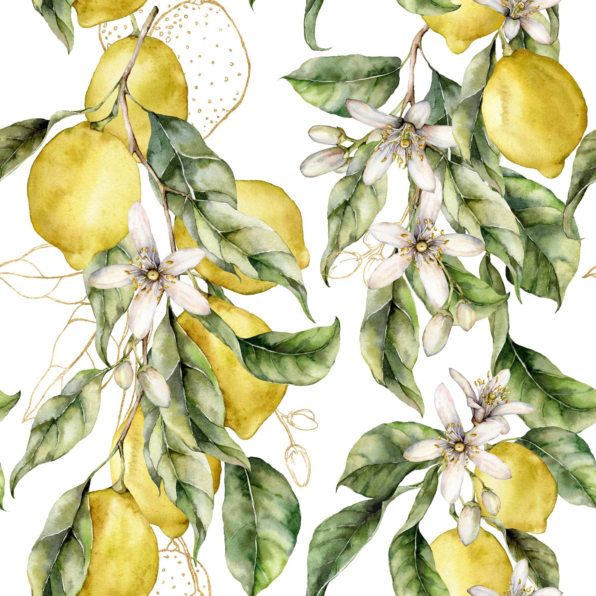 EL Lemons Vine Wallpaper 2 Wallpaper and Wall Murals South Africa Lemon Vine Blossom, lemon branches with blossom in yellow, green and white wallpaper - WallpaperOnline