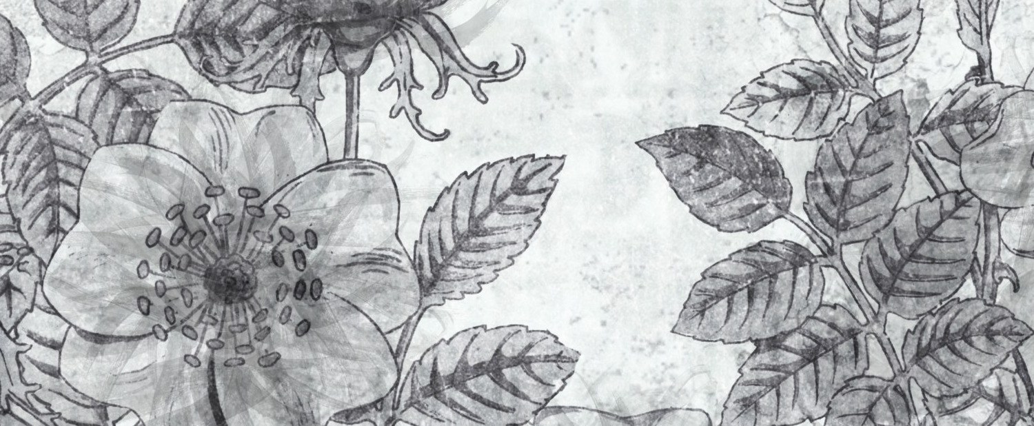 Mural Washed Vieja 4 Wallpaper and Wall Murals South Africa Mural Washed Vieja close-up showing texture and colour