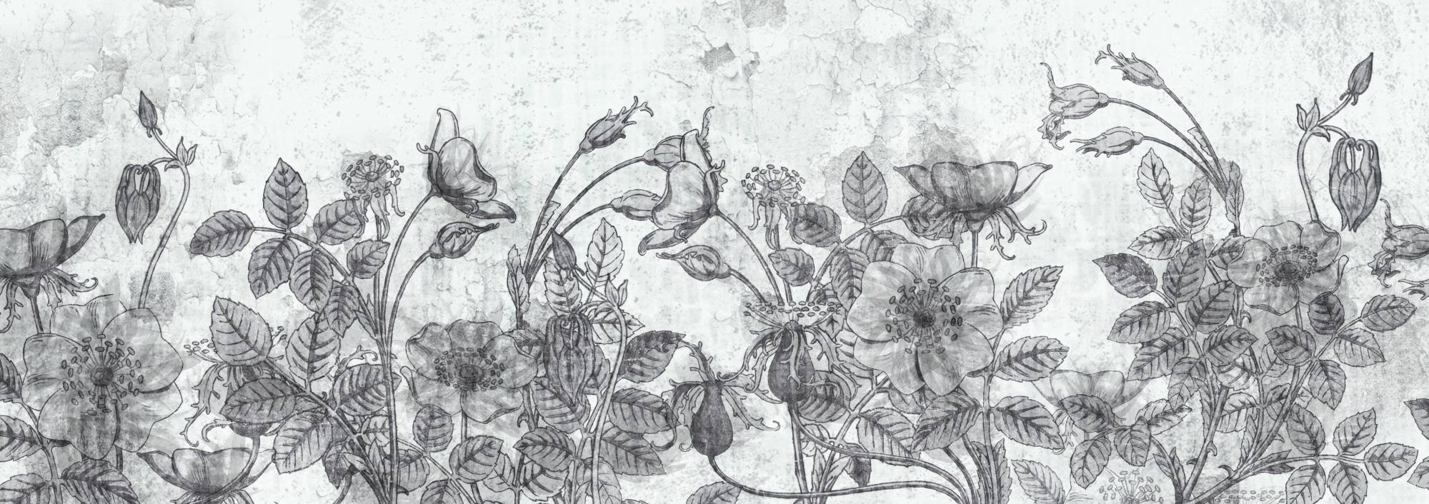 Mural Washed Vieja 2 Wallpaper and Wall Murals South Africa Mural Washed Vieja, wild roses in grey and white mural - WallpaperOnline