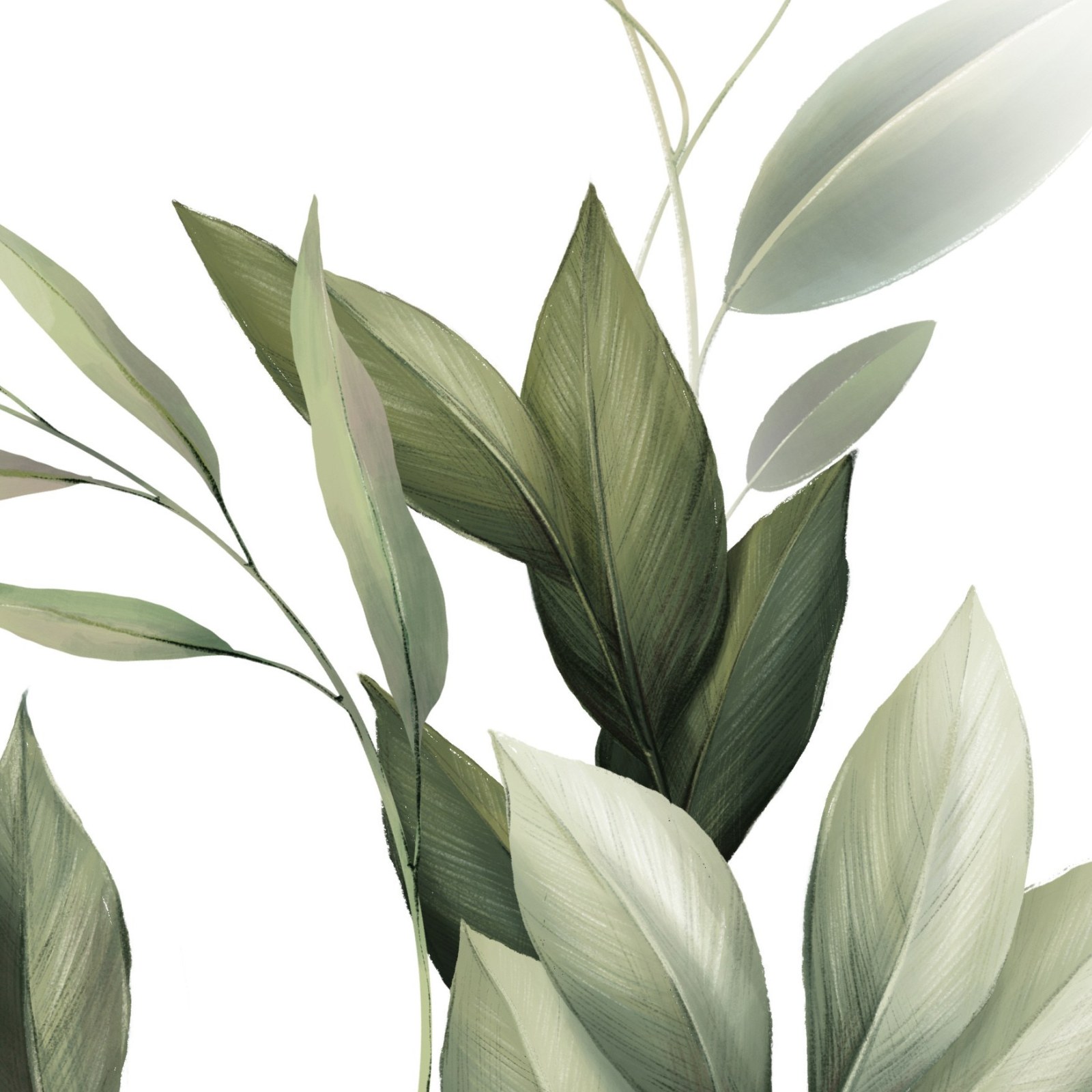 Mural Evergreen Fade 4 Wallpaper and Wall Murals South Africa Mural Evergreen Fade close-up showing texture and colour
