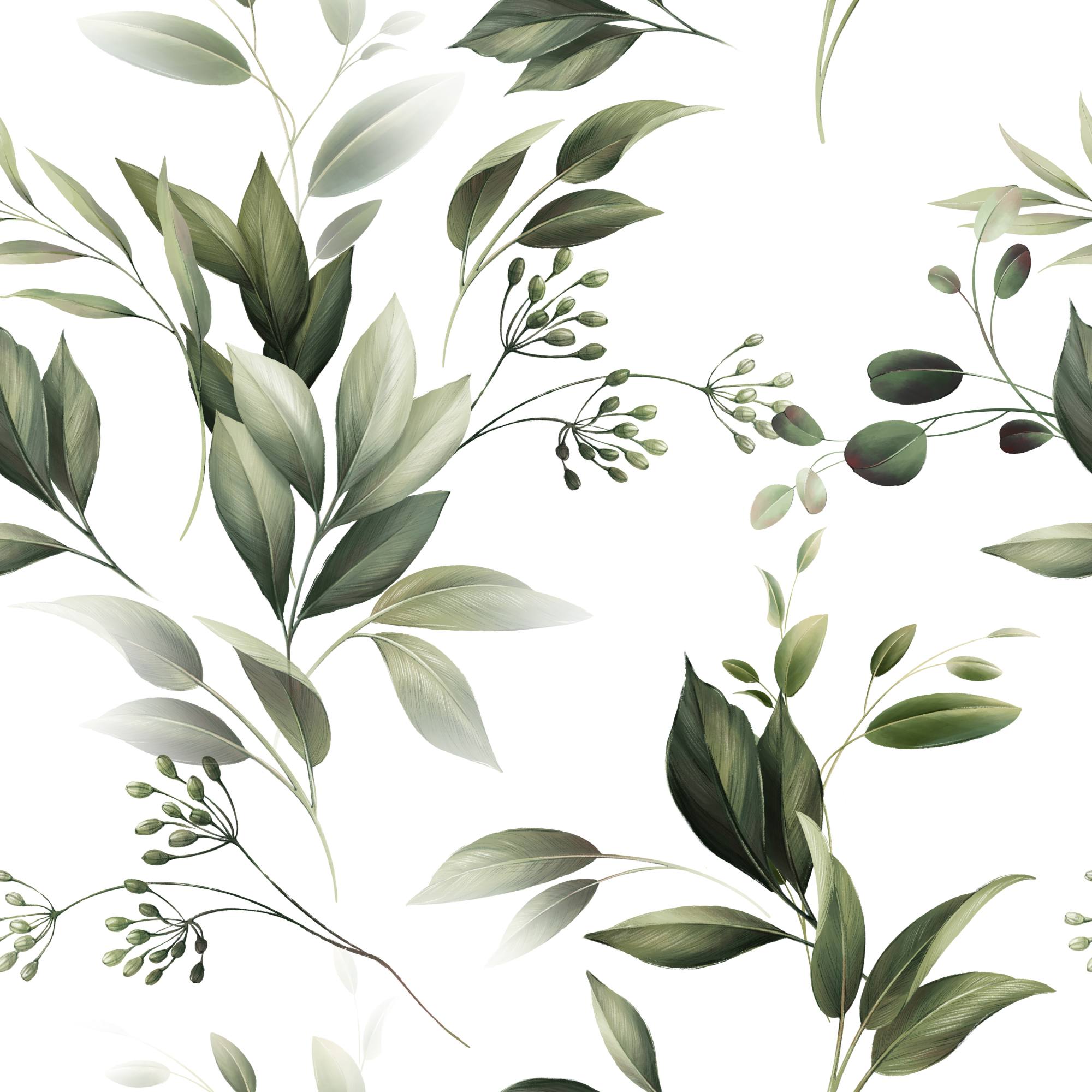 Mural Evergreen Fade 2 Wallpaper and Wall Murals South Africa Mural Evergreen Fade, eucalyptus and olive leaves in green and white mural - WallpaperOnline