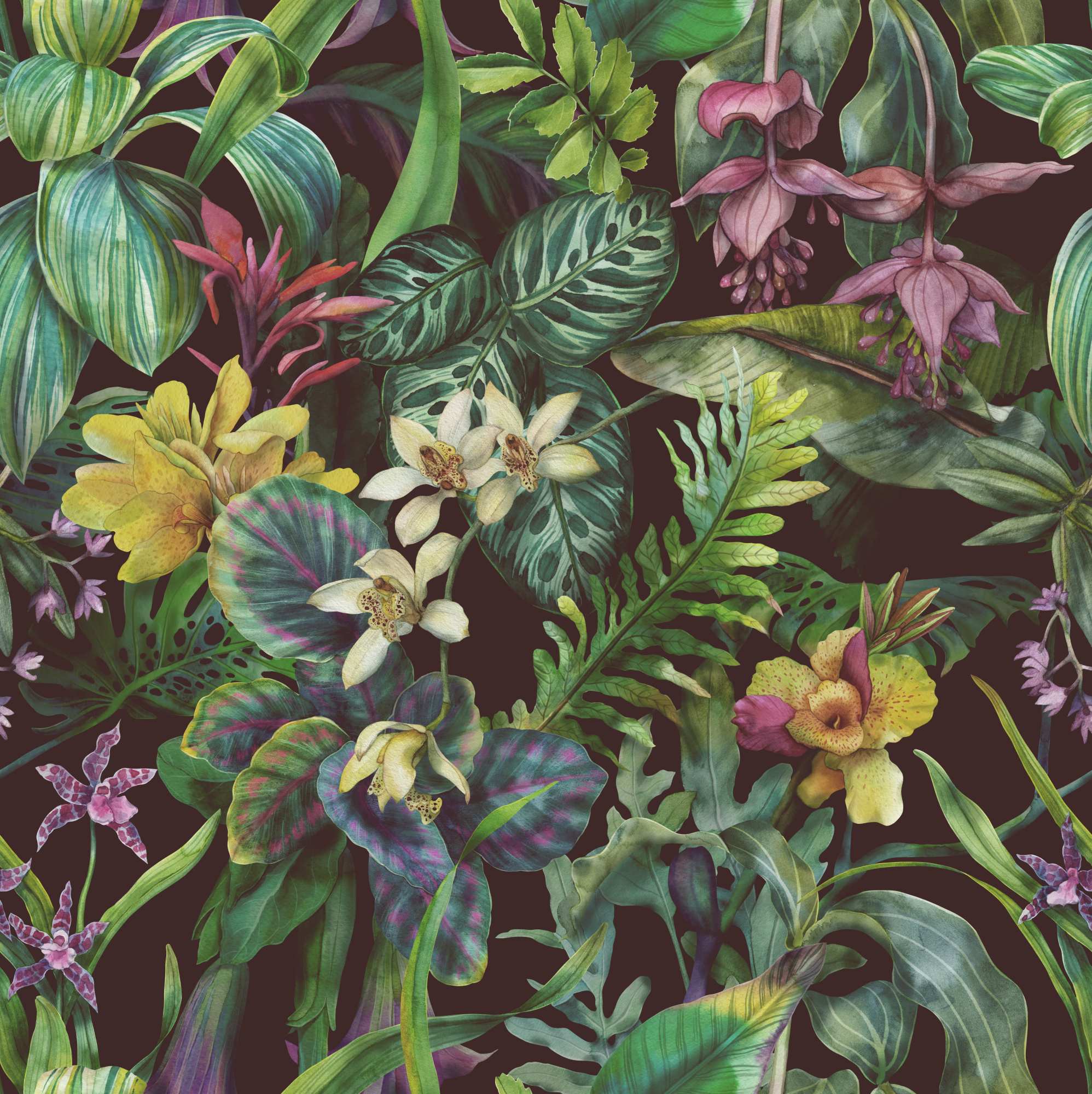Tropicale Breeze Wallpaper 2 Wallpaper and Wall Murals South Africa Tropicale Breeze Wallpaper, tropical foliage and orchids in green, black and pink wallpaper - WallpaperOnline