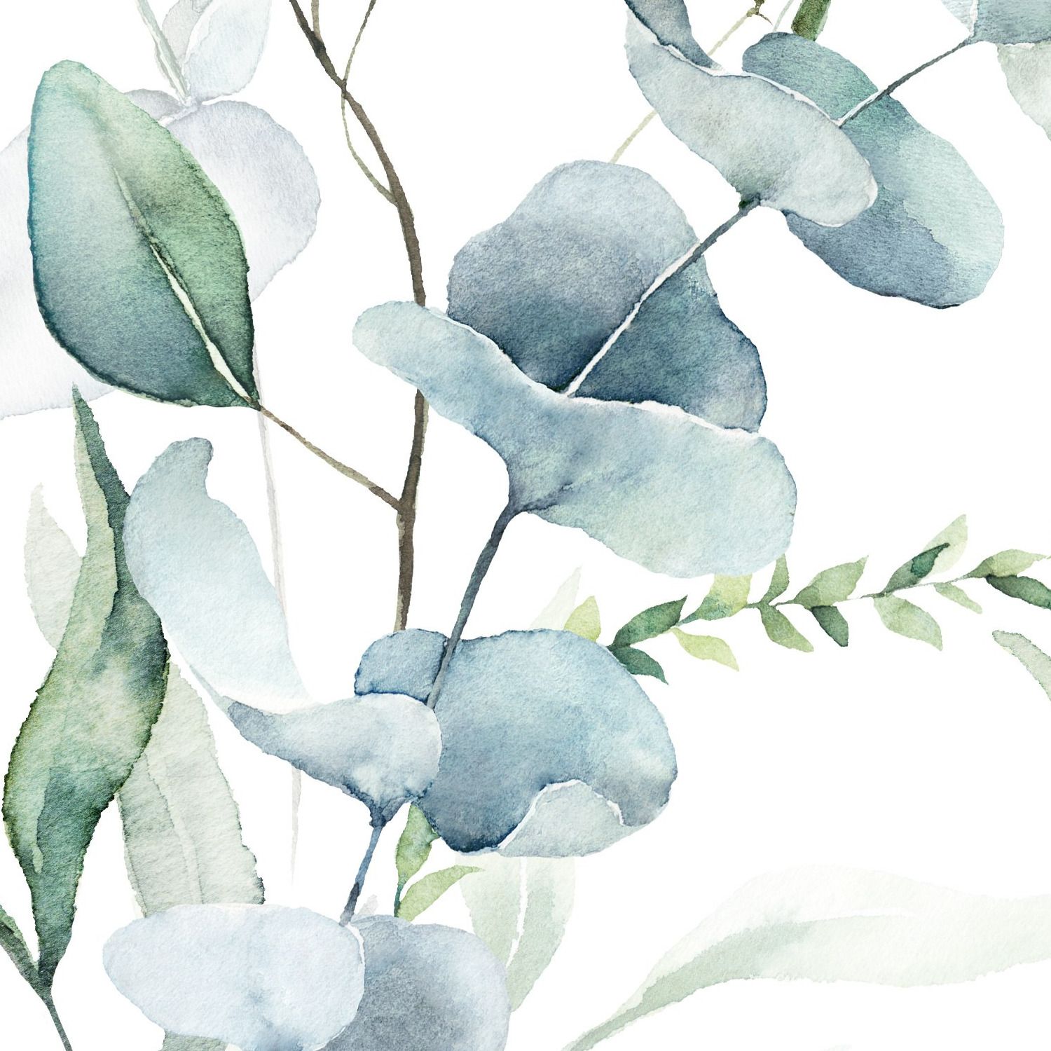 Mural Eucalyptus Watercolour 4 Wallpaper and Wall Murals South Africa Mural Eucalyptus Watercolour close-up showing texture and colour