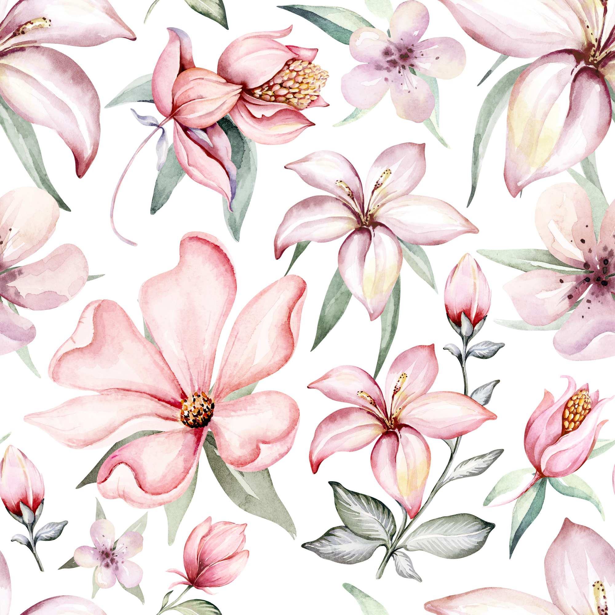 Pink Frangipani Wallpaper 2 Wallpaper and Wall Murals South Africa Pink Frangipani Wallpaper, floral blooms in pink, green and white wallpaper - WallpaperOnline