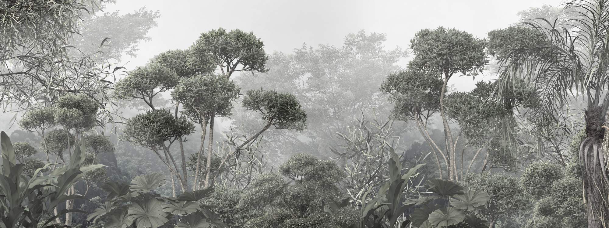 Mural Columbus Forest 2 Wallpaper and Wall Murals South Africa Mural Columbus Forest, forest in green and grey mural - WallpaperOnline