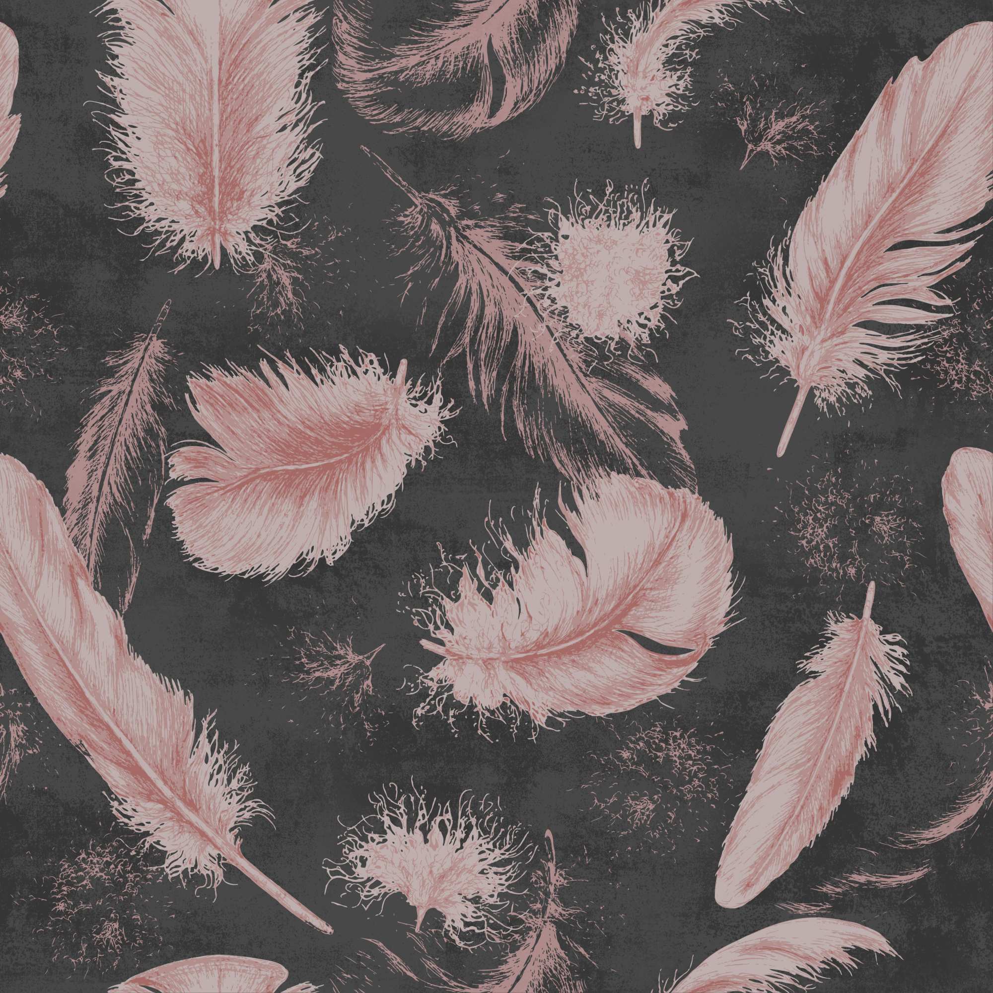 Mural Elana 2 Wallpaper and Wall Murals South Africa Mural Elana, feathers in blush pink and charcoal mural - WallpaperOnline
