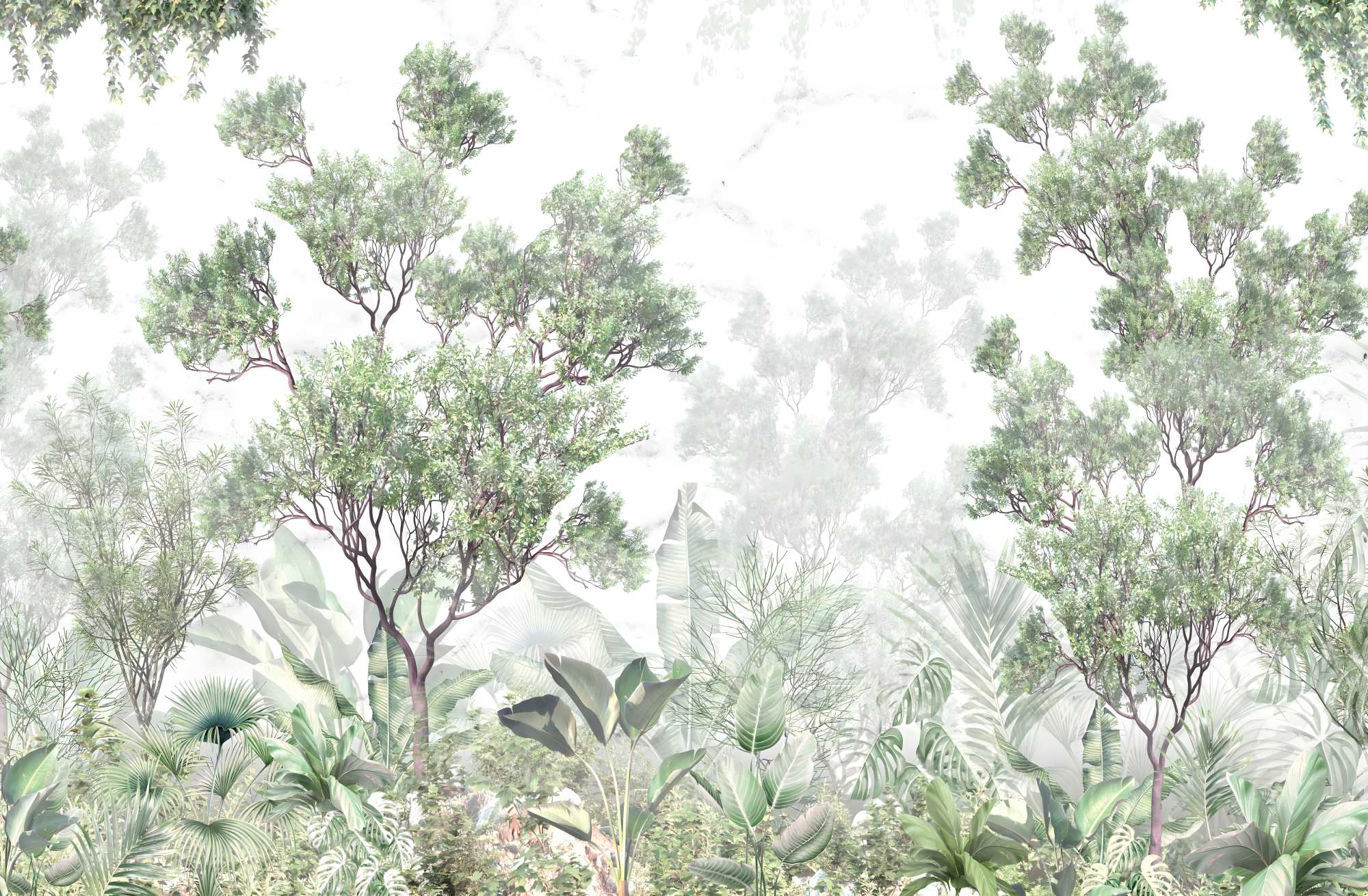 Mural Cabot Forest 2 Wallpaper and Wall Murals South Africa Mural Cabot Forest, misted forest scene in white and green mural - WallpaperOnline