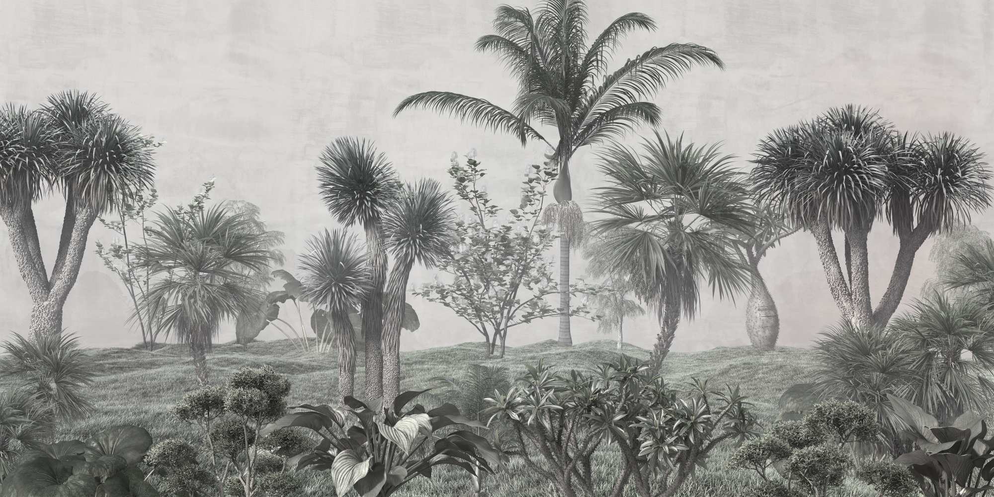 Mural Frobisher Forest 2 Wallpaper and Wall Murals South Africa Mural Frobisher Forest, misty palm forest in grey and green mural - WallpaperOnline