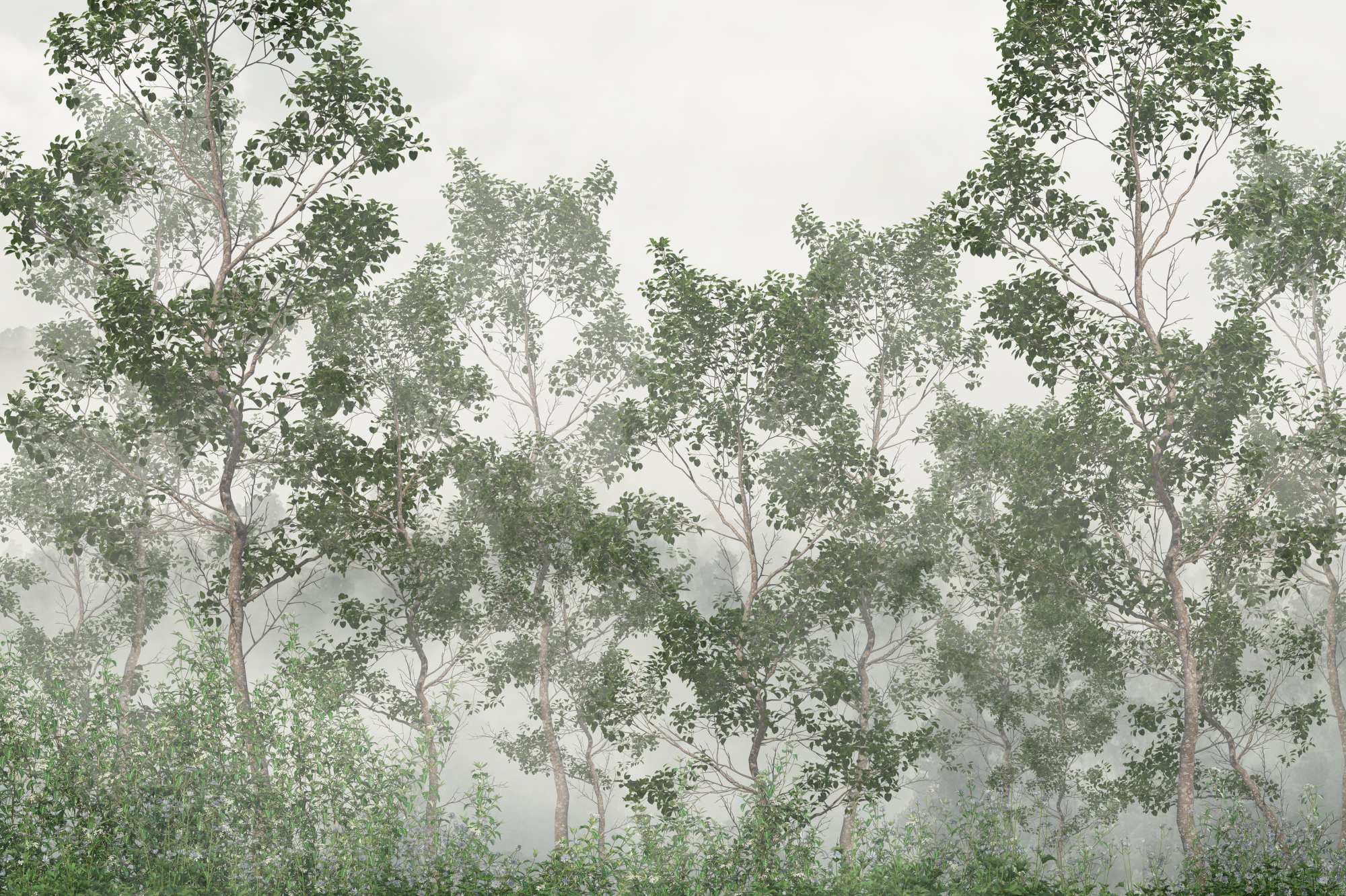 Mural Hawkins Forest 2 Wallpaper and Wall Murals South Africa Hawkins Forest, misty forest trees in green and grey mural - WallpaperOnline