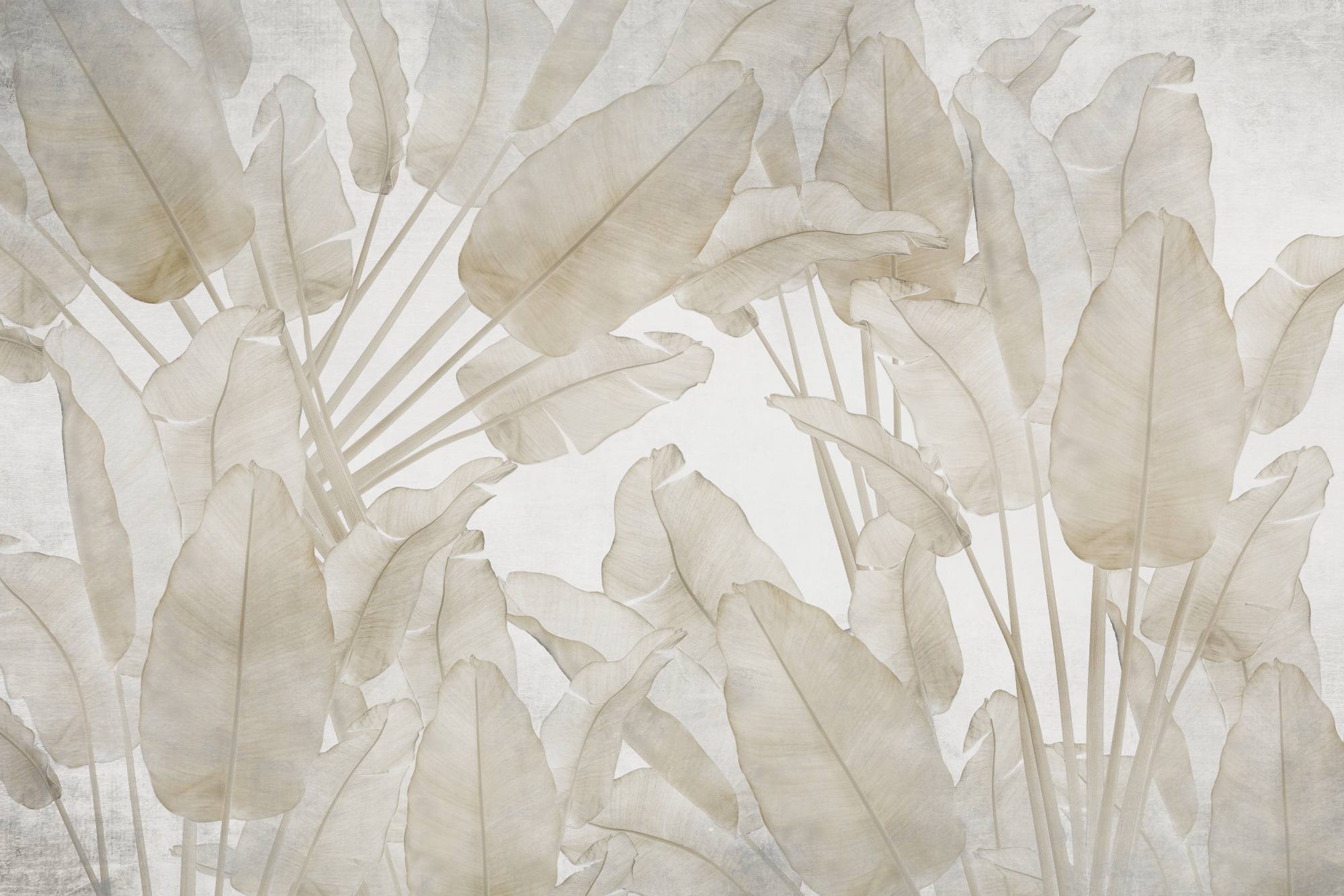 Mural Virtuous Leaves 2 Wallpaper and Wall Murals South Africa Virtuous Leaves, banana leaf botanical in beige and ivory mural - WallpaperOnline