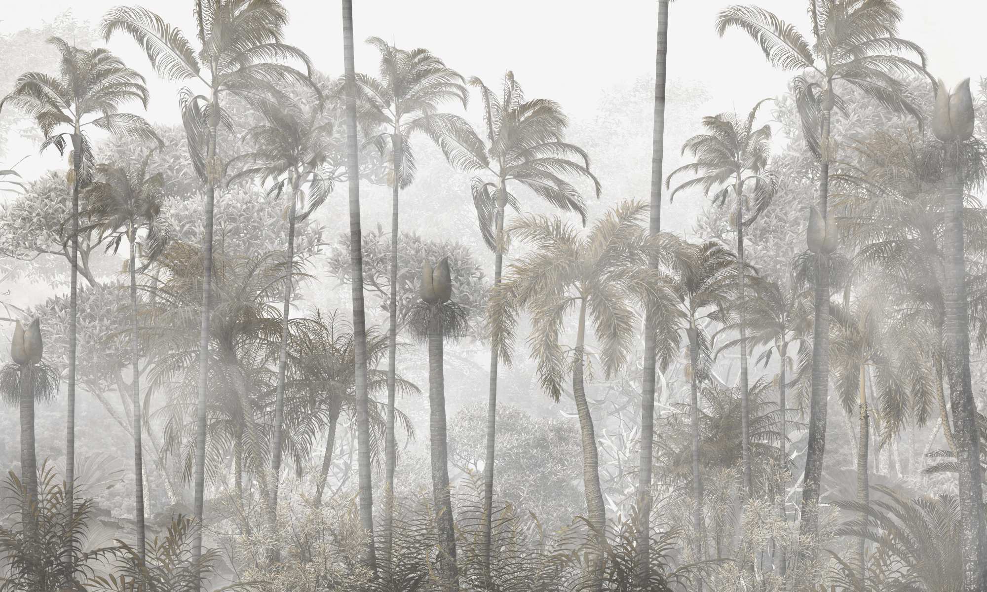 Mural Pizzaro Forest 2 Wallpaper and Wall Murals South Africa Pizzaro Forest, palm forest in grey and beige mural - WallpaperOnline