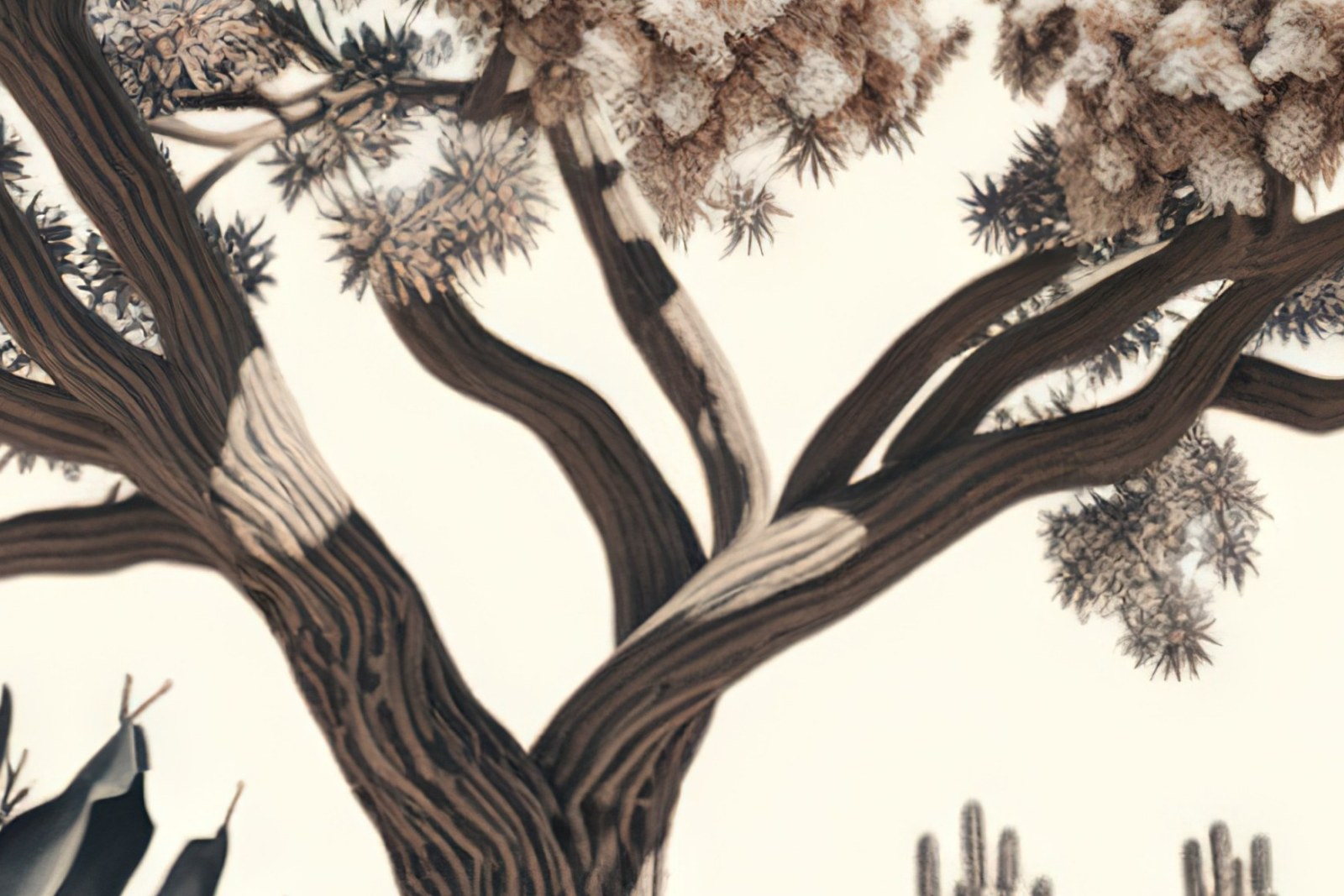 Mural Desert Oasis 4 Wallpaper and Wall Murals South Africa Mural Desert Oasis close-up showing texture and colour