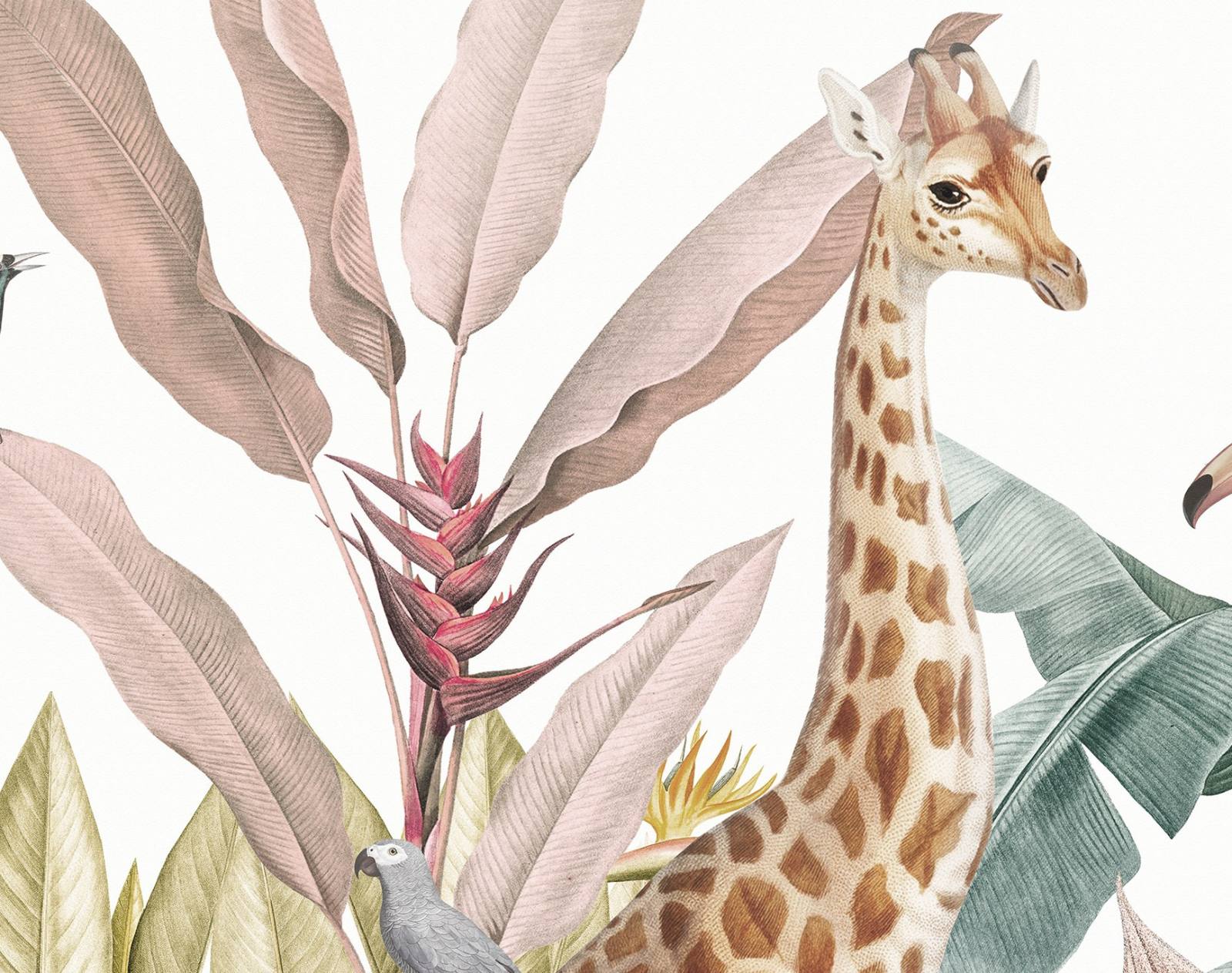 Mural Tropical Animal Paradise 4 Wallpaper and Wall Murals South Africa Mural Tropical Animal Paradise close-up showing texture and colour
