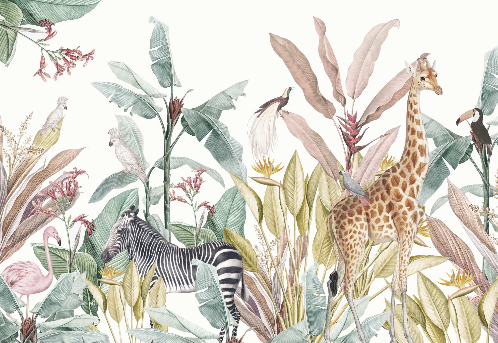 Mural Tropical Animal Paradise 2 Wallpaper and Wall Murals South Africa Tropical Animal Paradise, giraffe and zebra in green and pink mural - WallpaperOnline