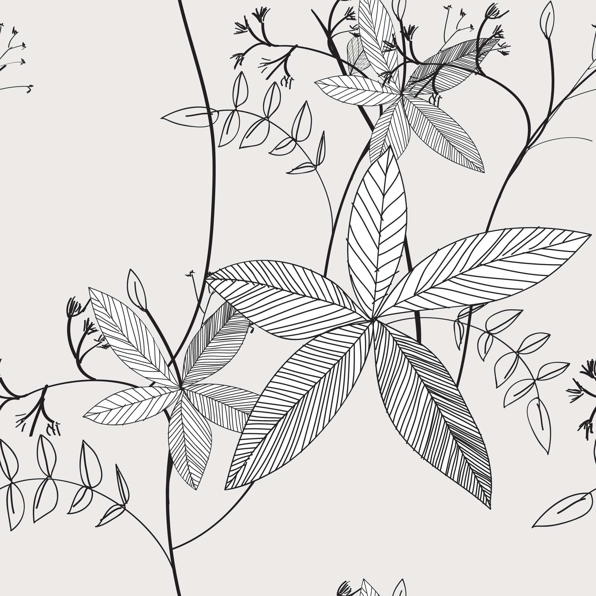 Line Drawn Leaf Wallpaper 2 Wallpaper and Wall Murals South Africa Line Drawn Leaf Wallpaper, botanical leaves in black and ivory wallpaper - WallpaperOnline