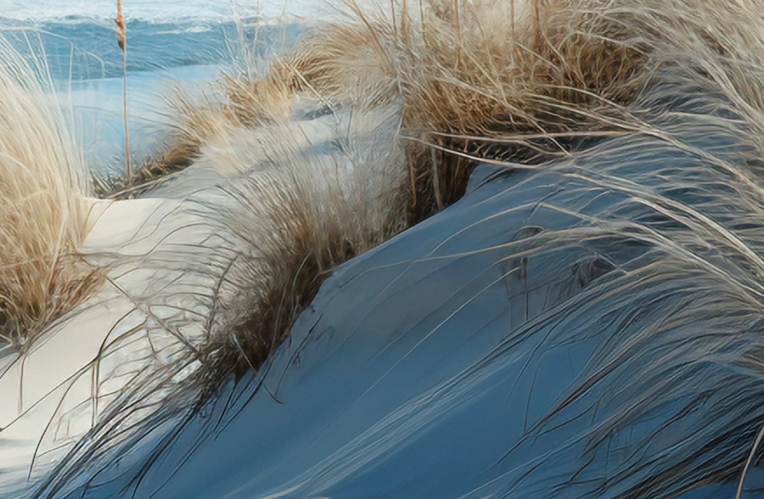 Mural Sea Grass 4 Wallpaper and Wall Murals South Africa Mural Sea Grass close-up showing texture and colour