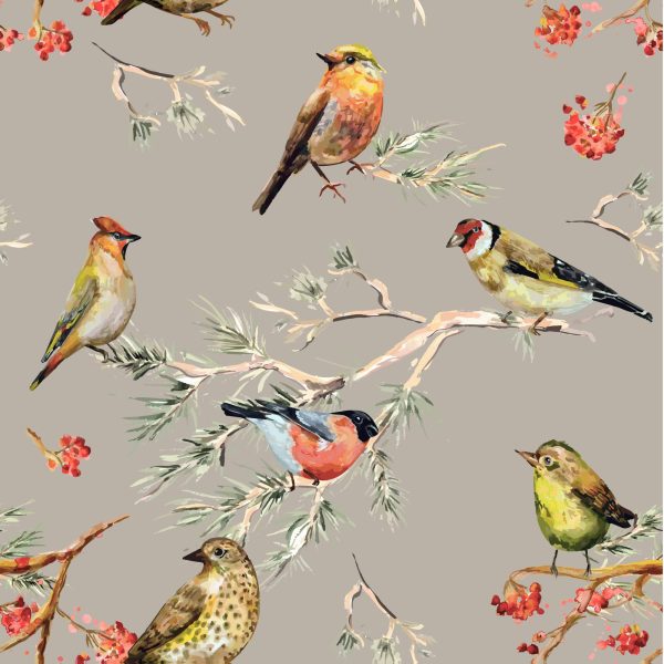 Feathered Friends Smoke Wallpaper