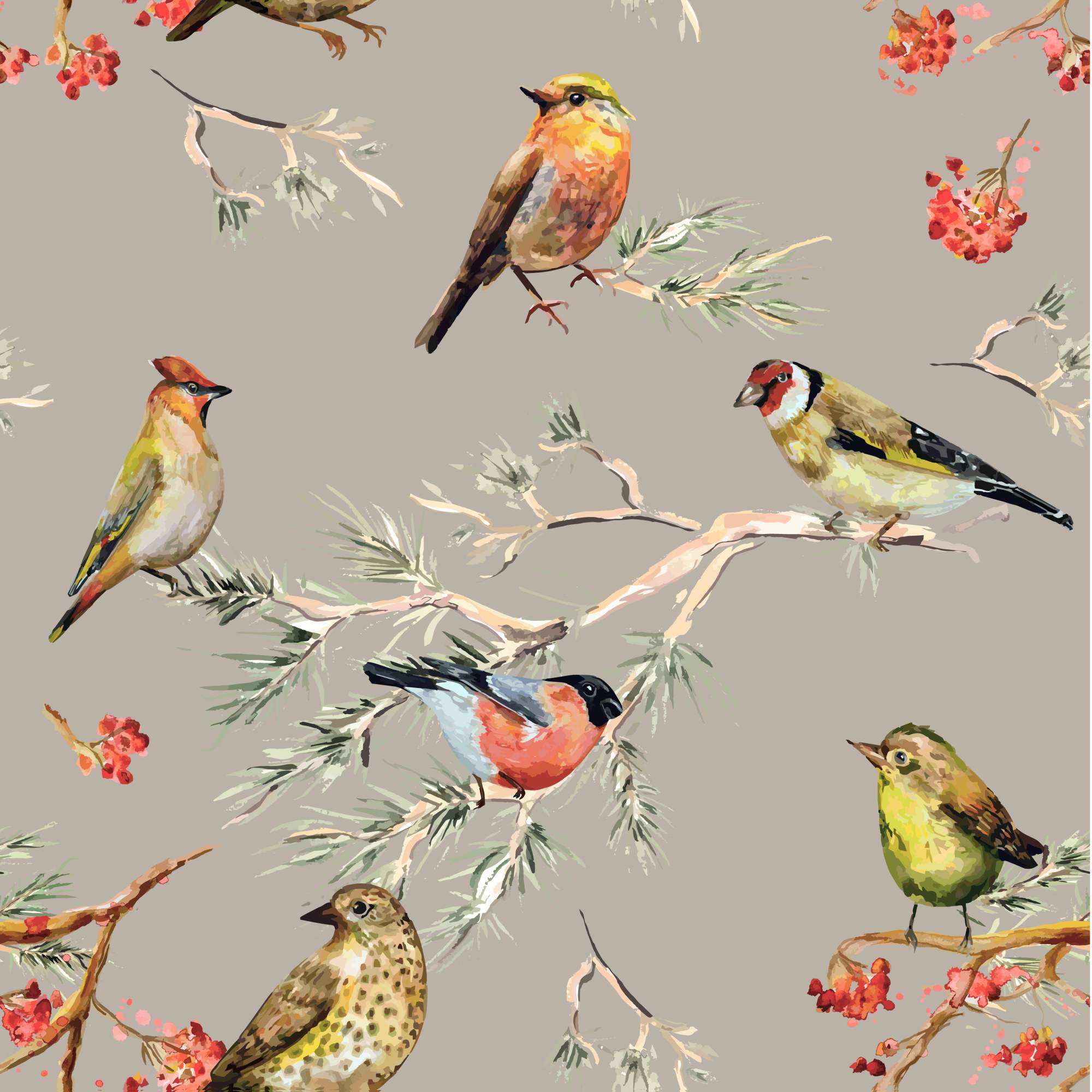 Feathered Friends Smoke Wallpaper 2 Wallpaper and Wall Murals South Africa Feathered Friends Smoke Wallpaper, birds in grey, orange and olive wallpaper - WallpaperOnline