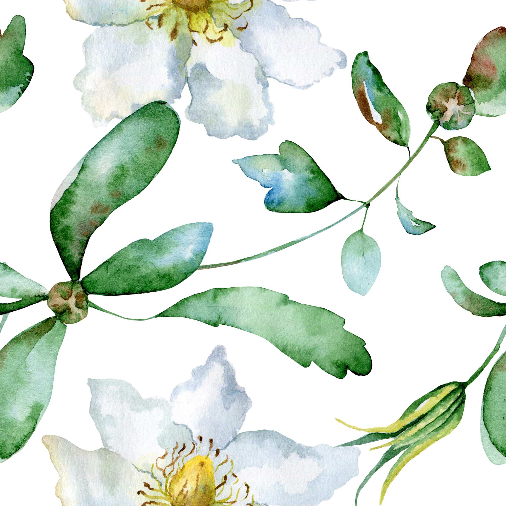 Guaria Watercolour Wallpaper 1 Wallpaper and Wall Murals South Africa Guaria Watercolour, floral in green, white wallpaper - WallpaperOnline