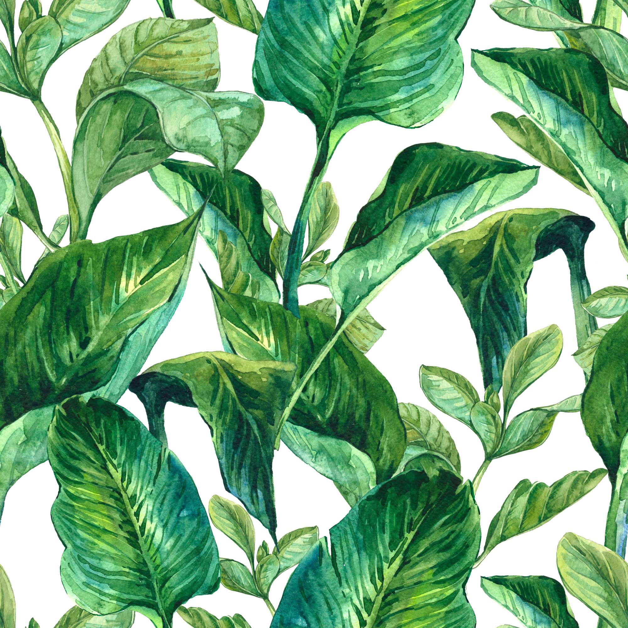 Lush Leaves Wallpaper 2 Wallpaper and Wall Murals South Africa Lush Leaves Wallpaper, tropical leaves in green and white wallpaper - WallpaperOnline