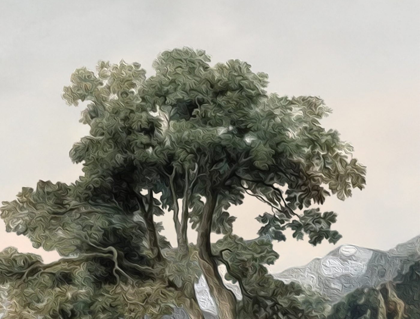 Tree Atop a Hill in Oil Mural 4 Wallpaper and Wall Murals South Africa Tree Atop a Hill in Oil Mural close-up showing texture and colour