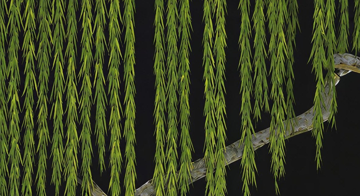 Midnight Willow 3 Wallpaper and Wall Murals South Africa Midnight Willow close-up showing texture and colour